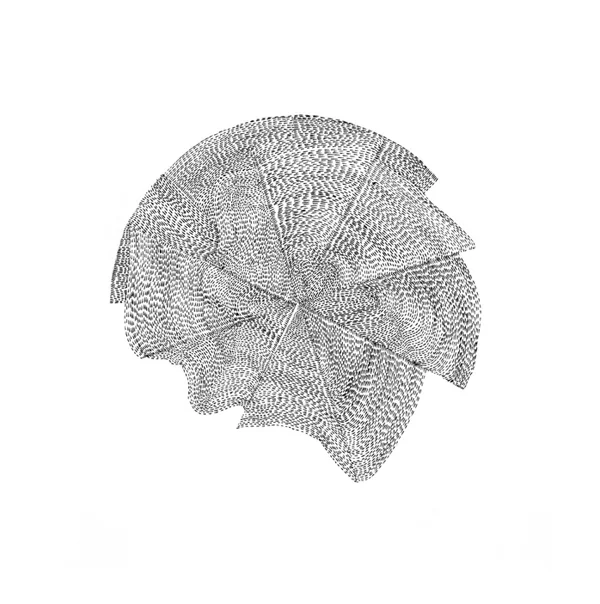 Path:Rotated 2