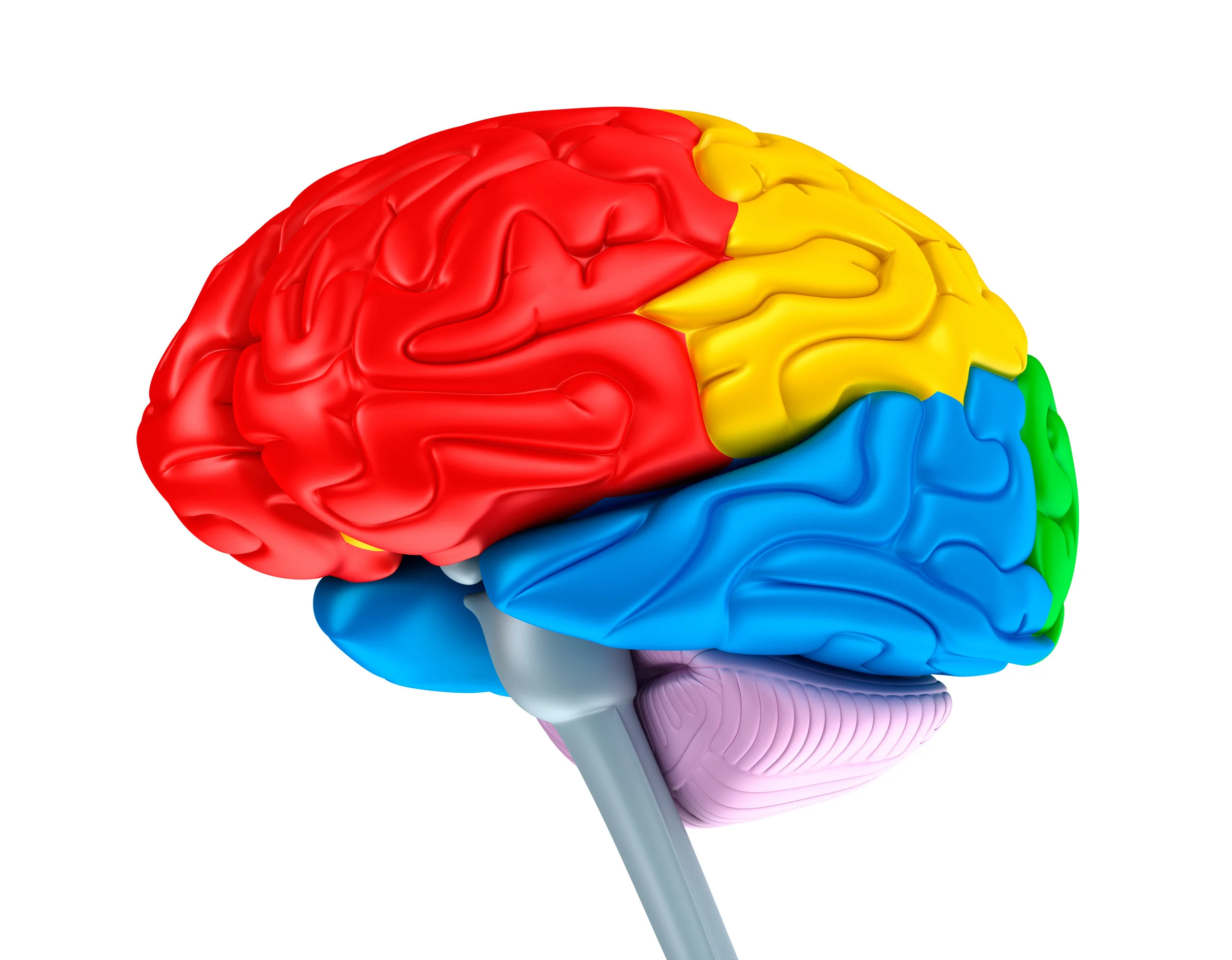 colorful brain.jpg