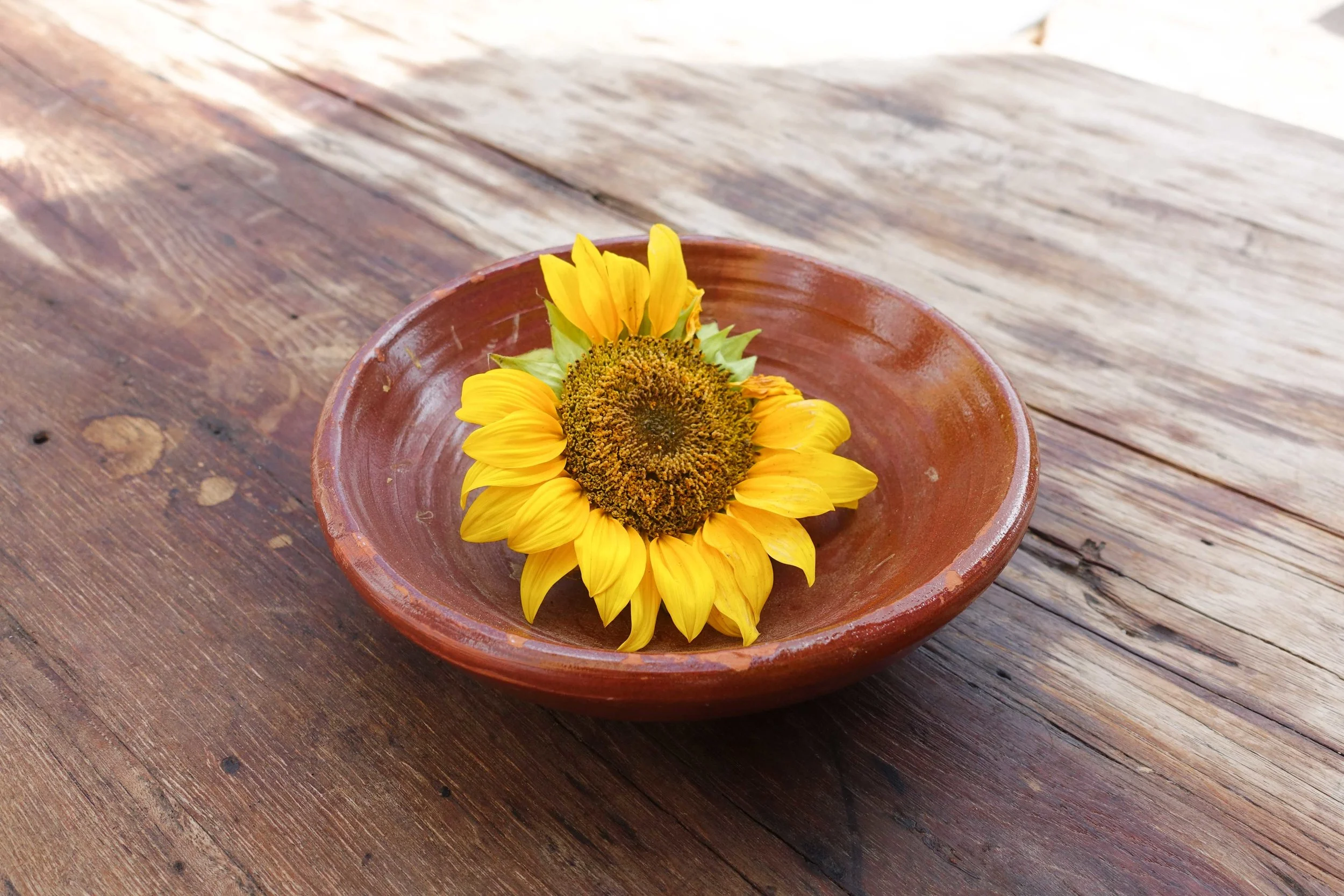 photography by Caroline - The Lemon Spoon