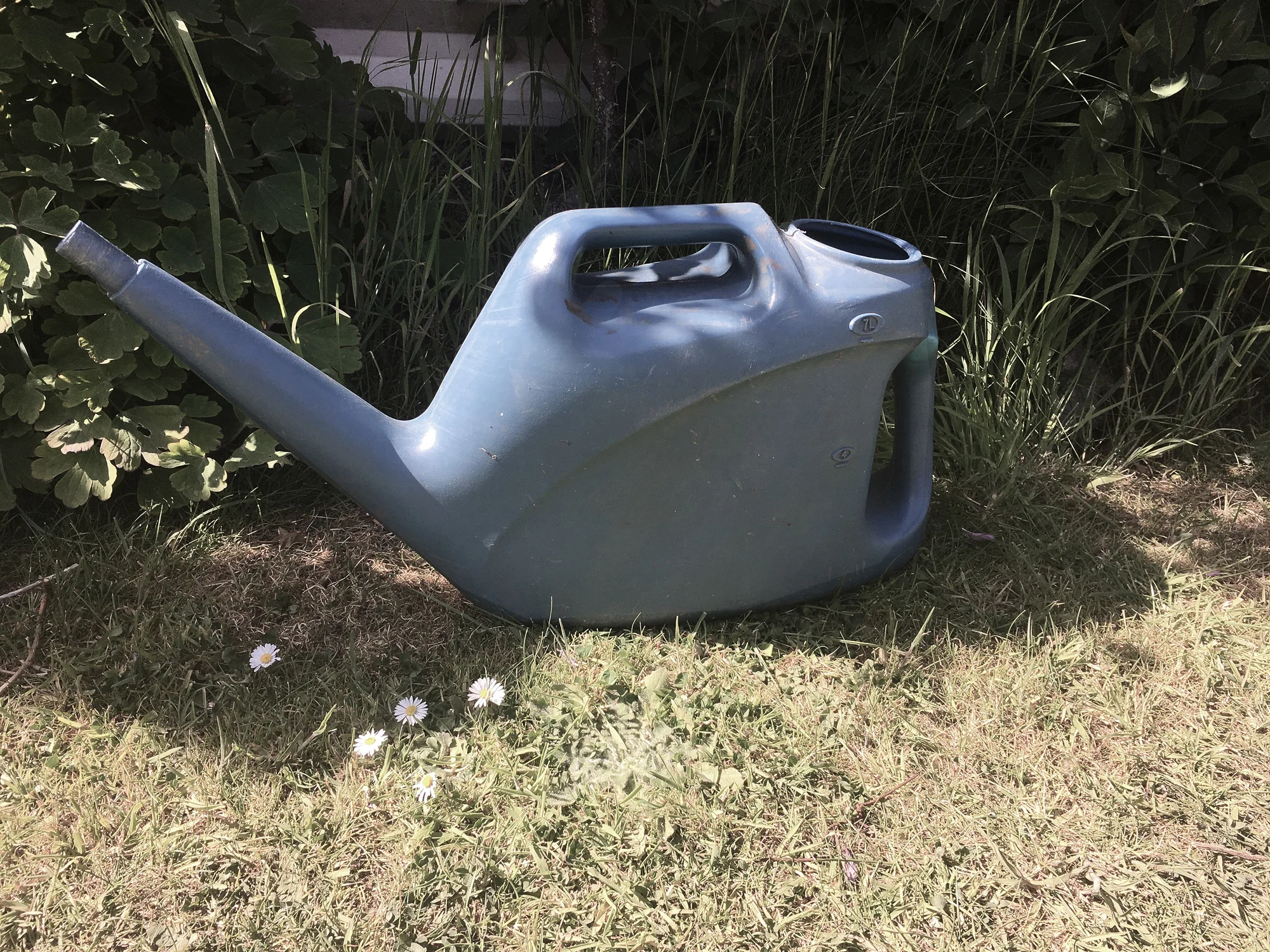 DRESS label Crisis Collection 2017 Look book Blue Plastic Watering Can in my Mum & Dad's Garden Dress-Ltd