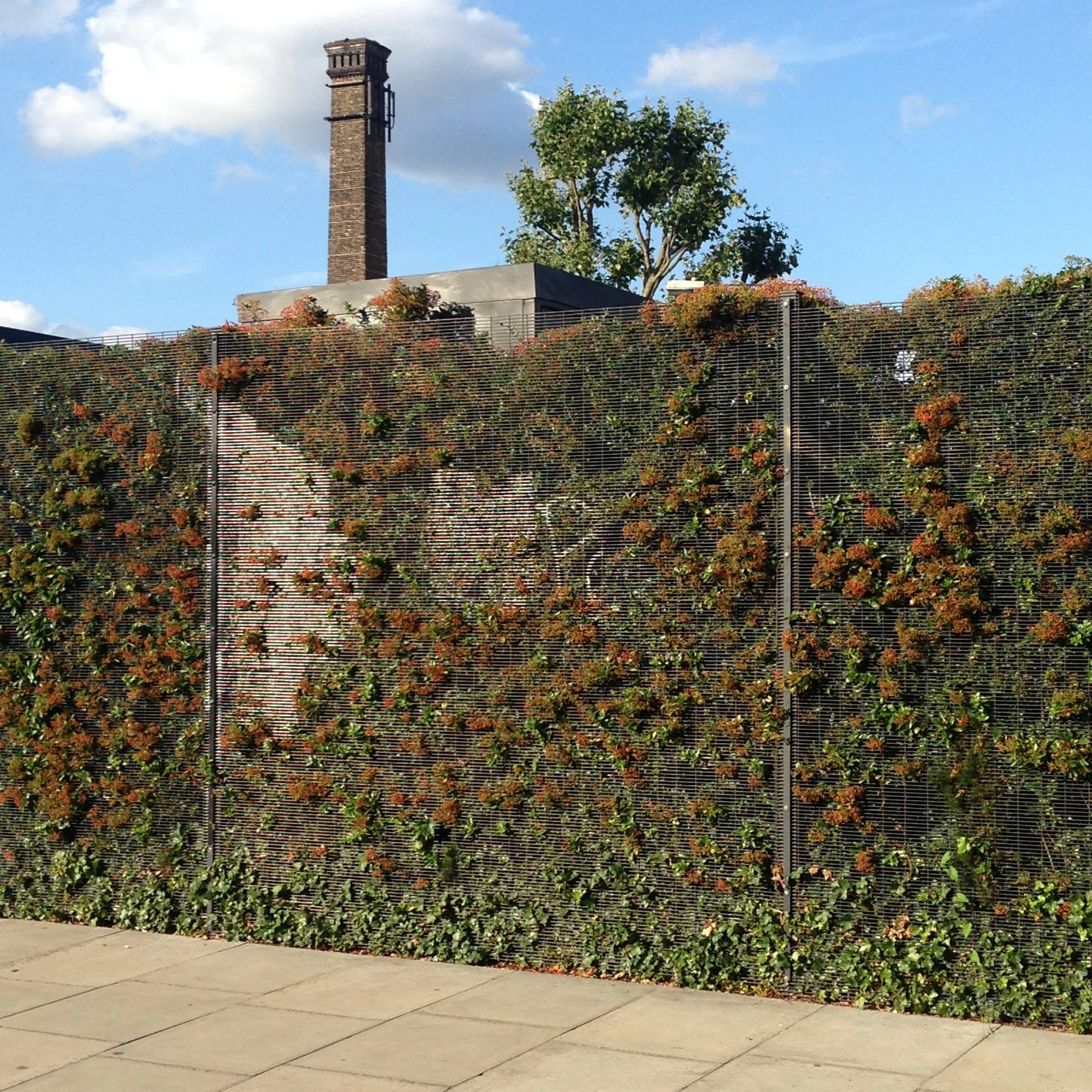 DRESS label INTO COLOUR SS16 gallery: Hedged Fence Hackney Wick, now developed into something UGLY