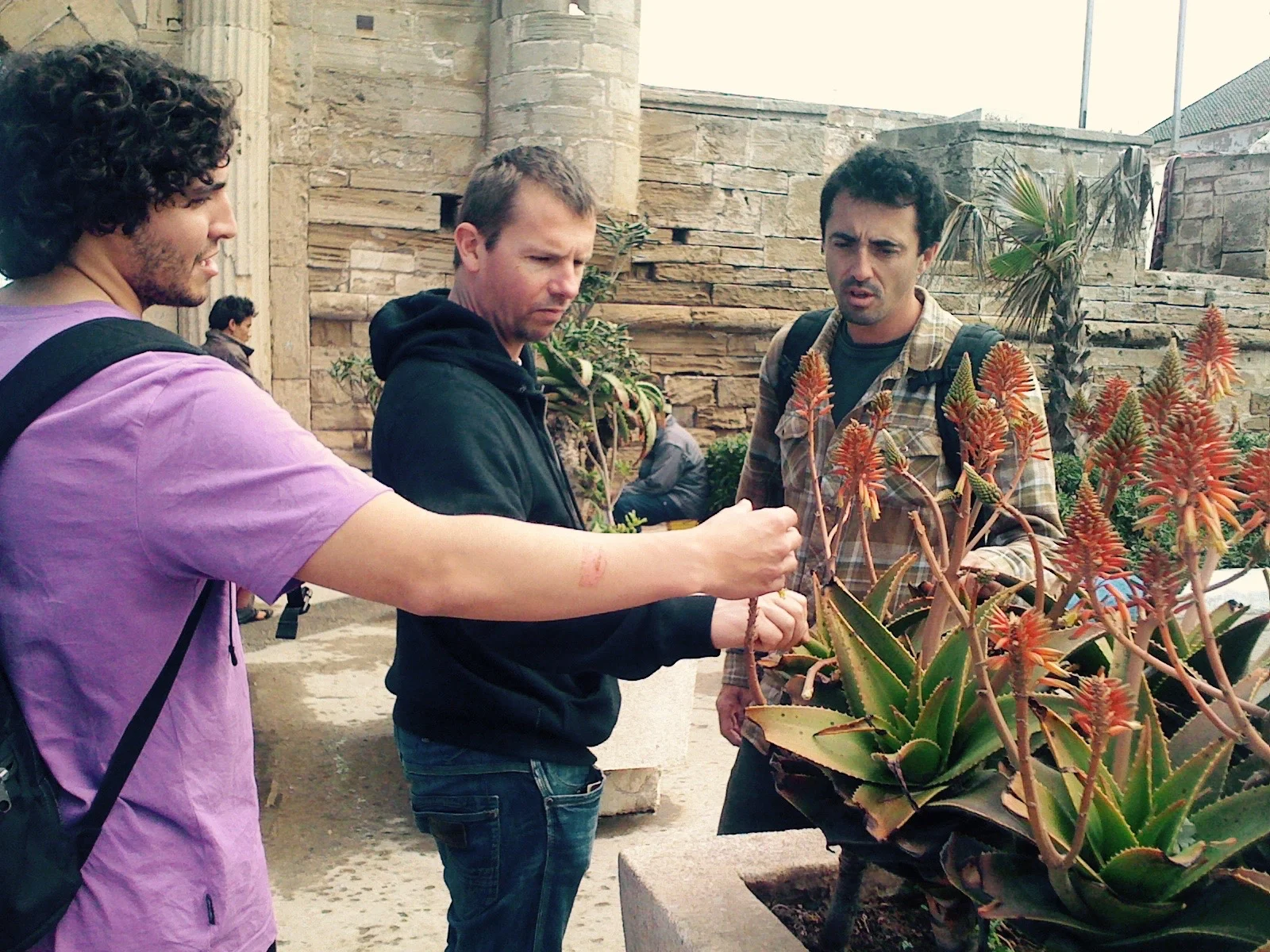 Where's your prostate?