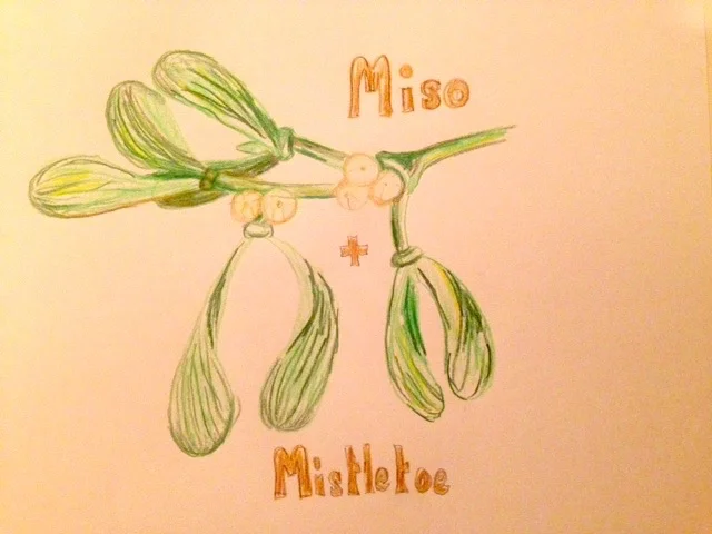 Miso & Misltetoe
