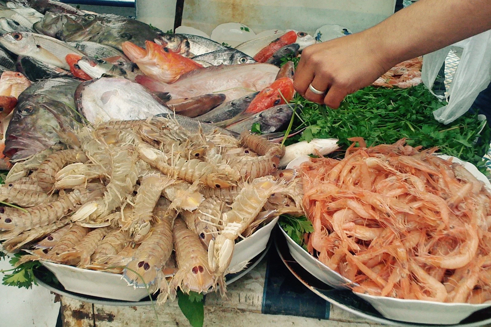 Are you eating sustainable fish or are they endangered?