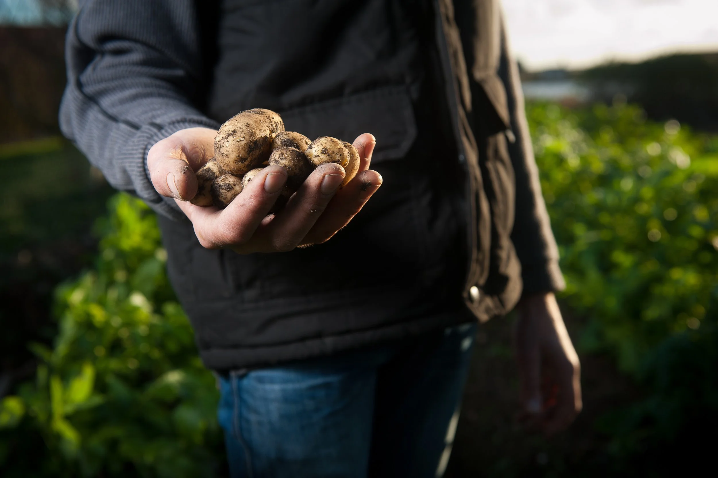 Pesticides in baby cereals...really?