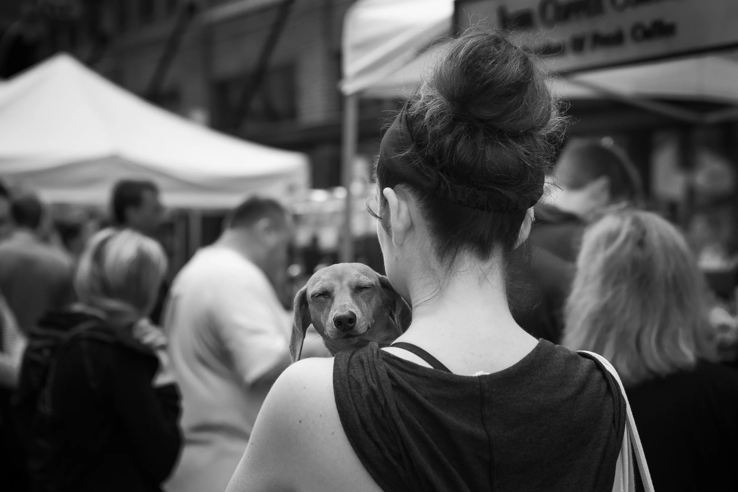 STREET - Dog Tired