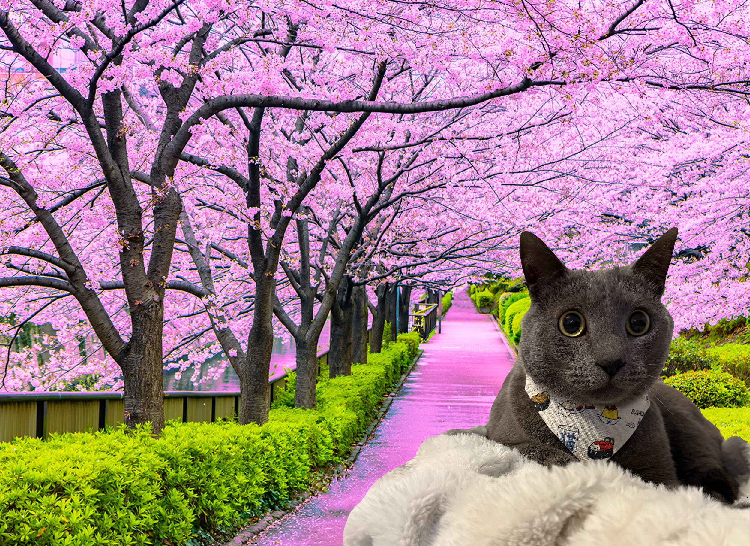 April 2026