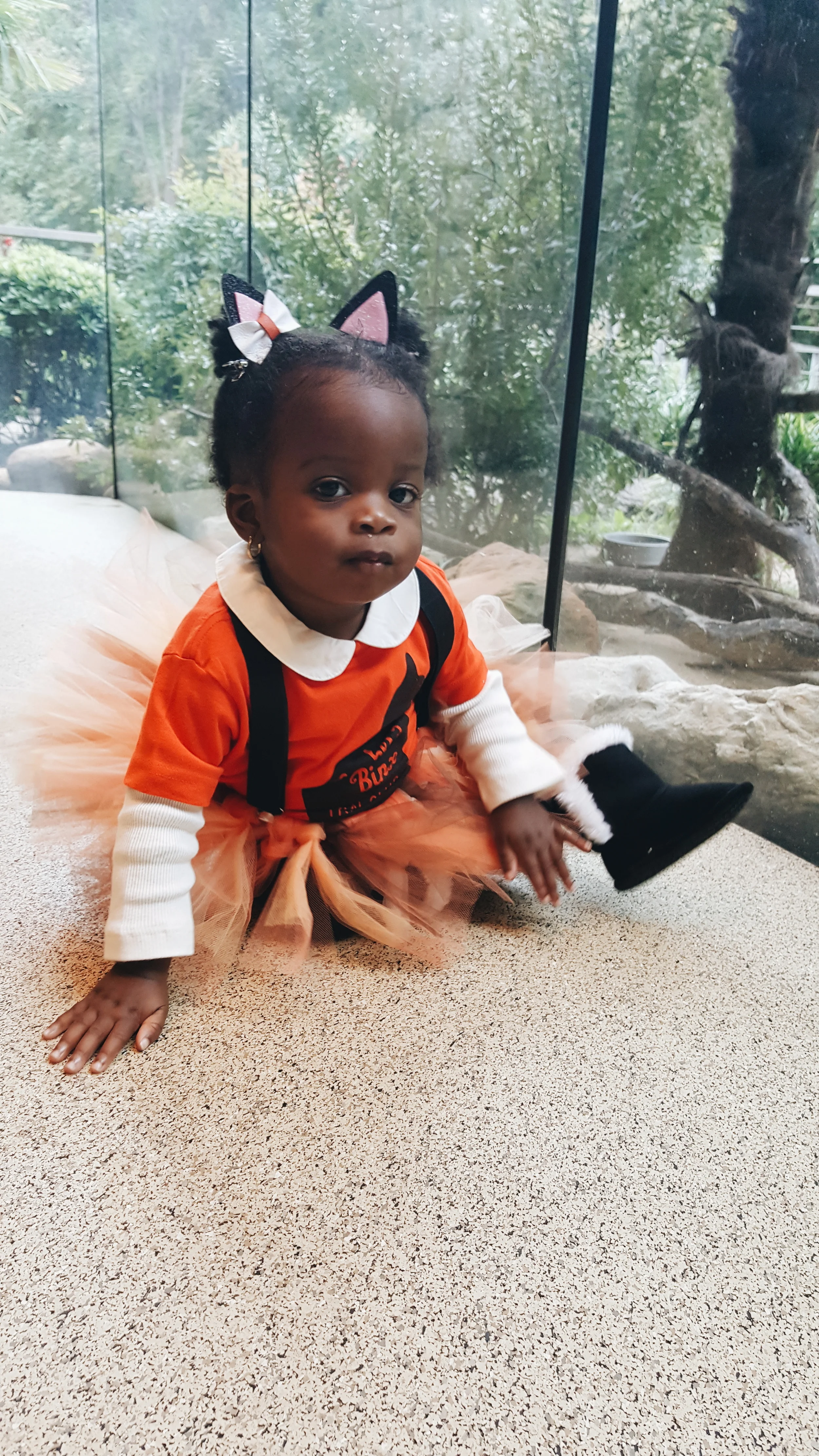 Making Your Own Traditions: Boo'n It Up at the Fort Worth Zoo