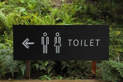 The Potty Training Blues