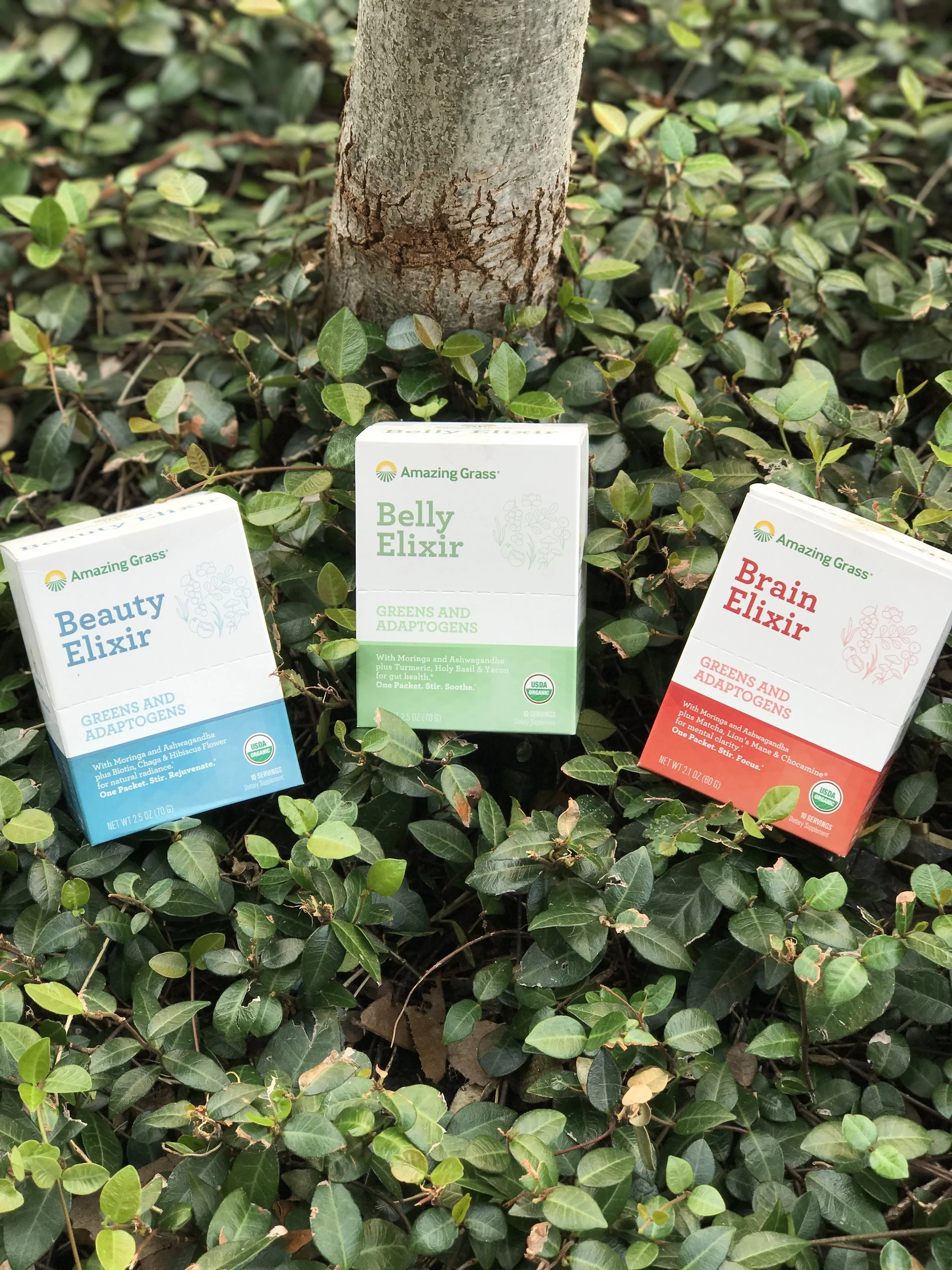 Amazing Grass Elixirs For Your Mind, Body, and Soul 