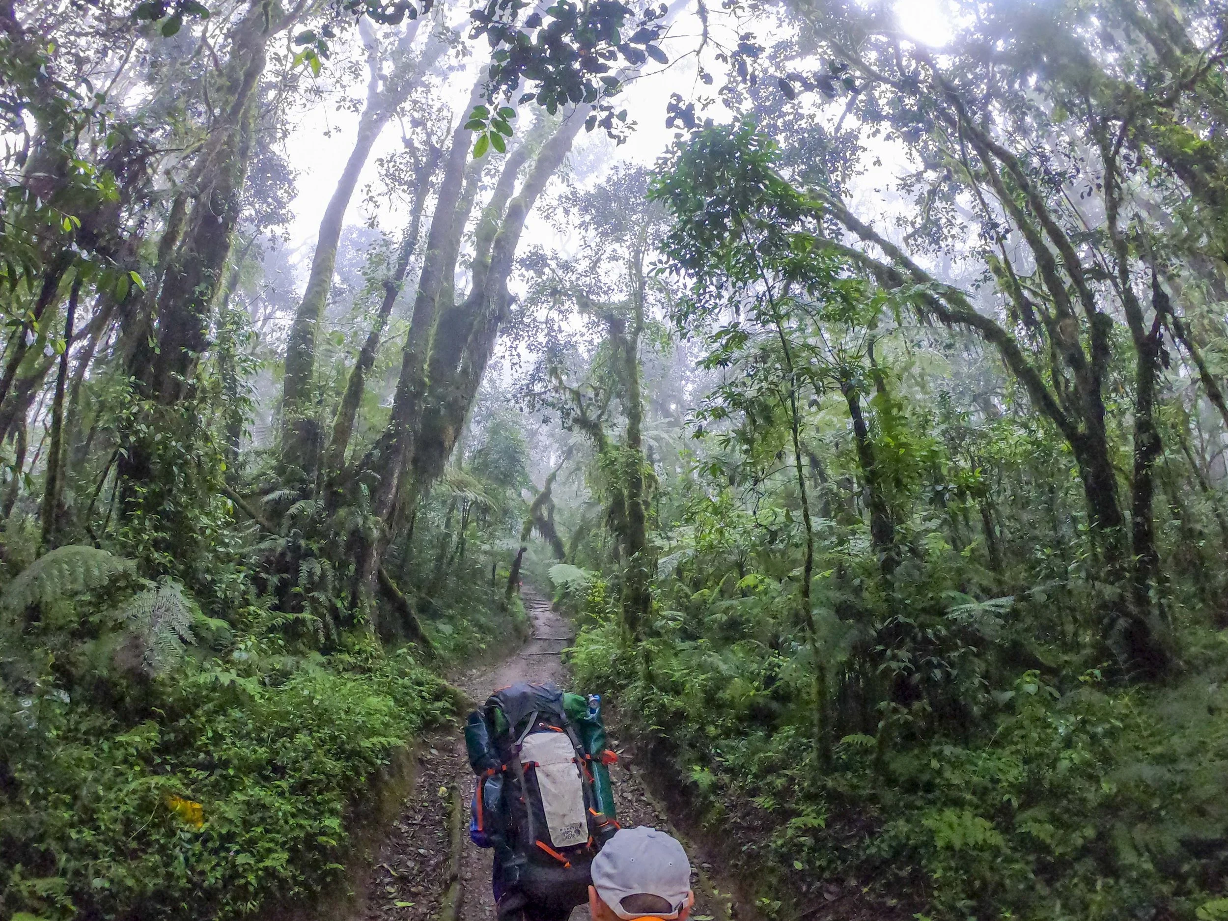 Kili2-190626-2.jpg