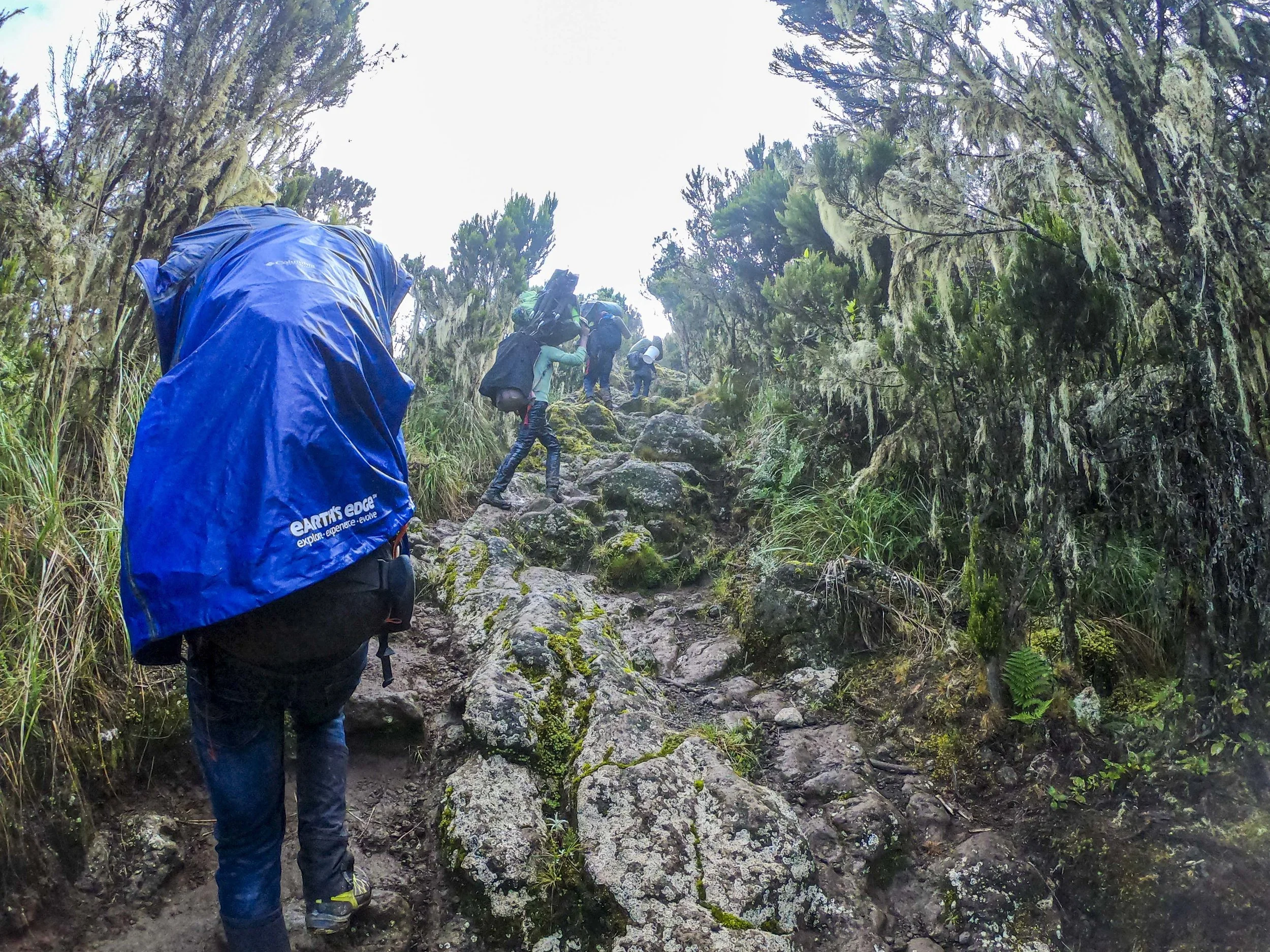Kili2-190626-6.jpg