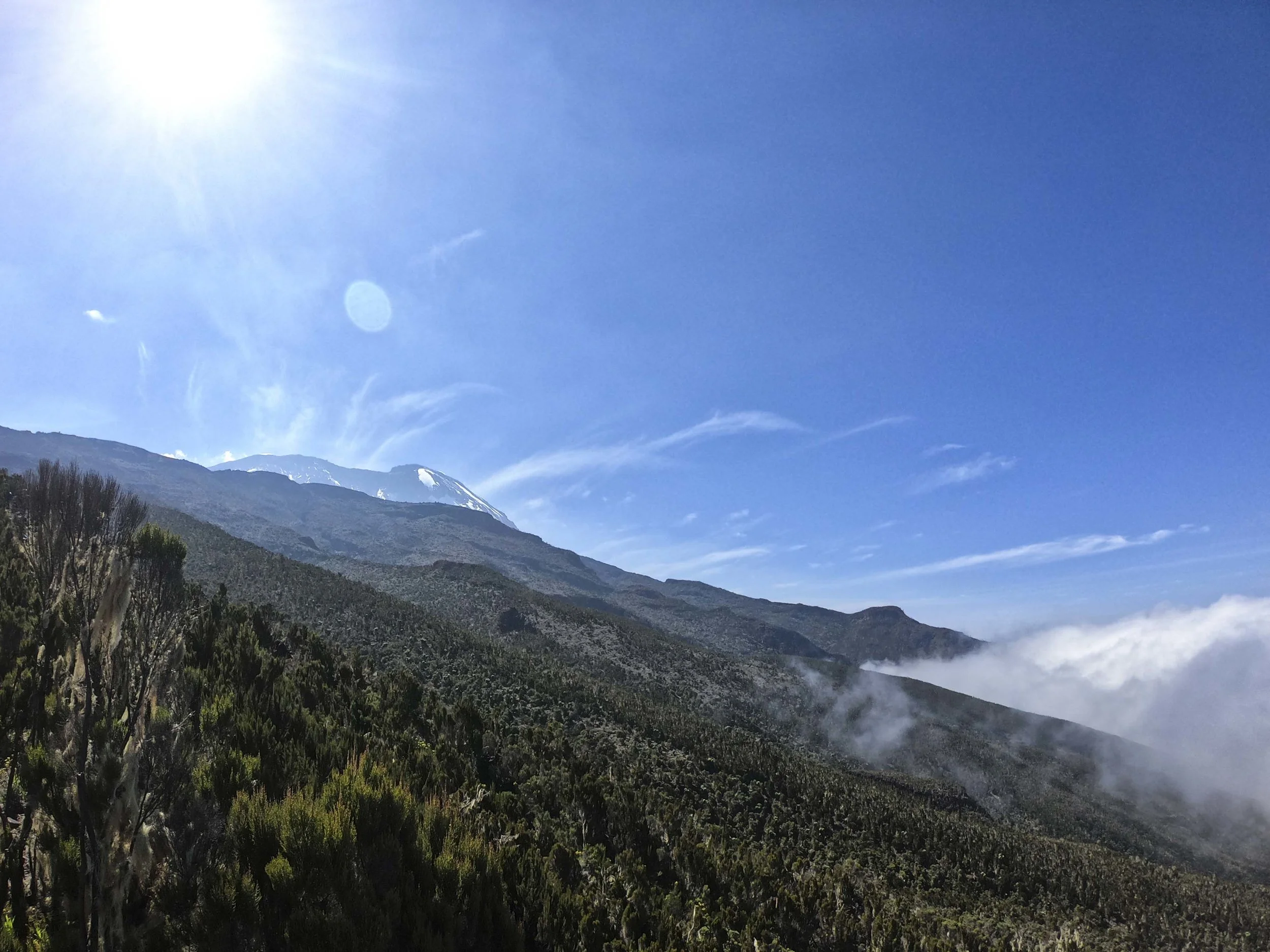 Kili2-190626-8.jpg