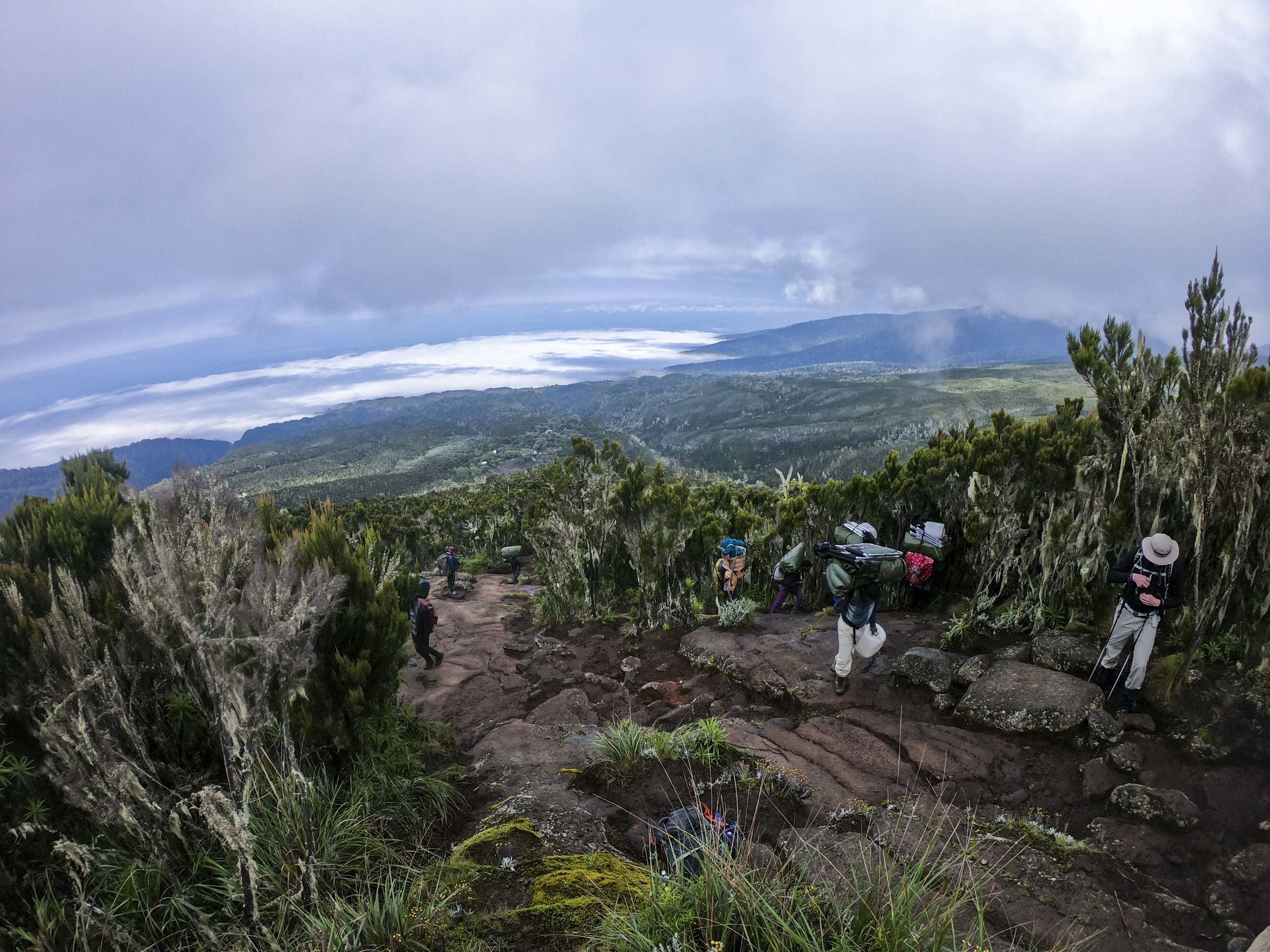 Kili2-190626-7.jpg