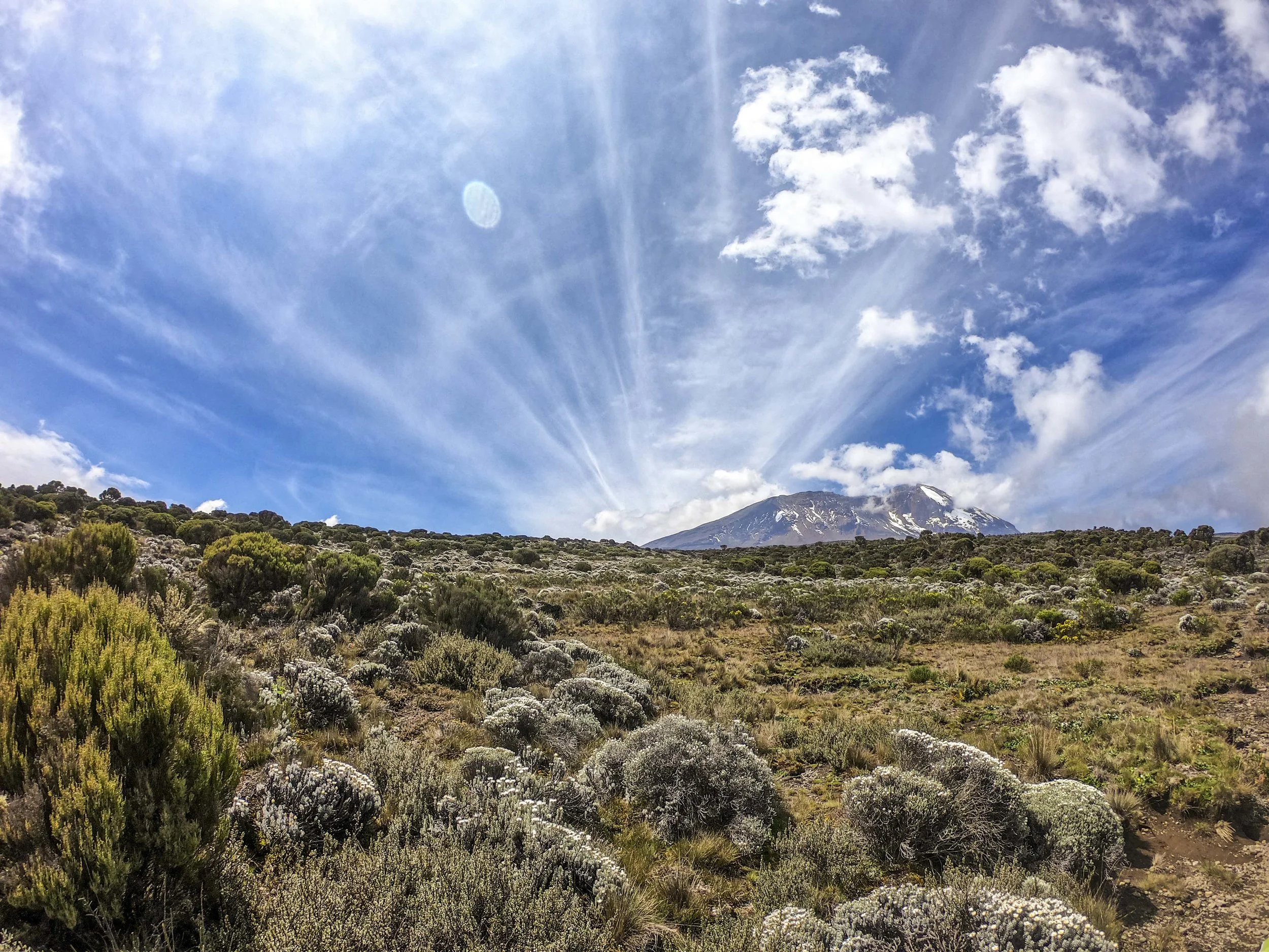 Kili2-190626-10.jpg