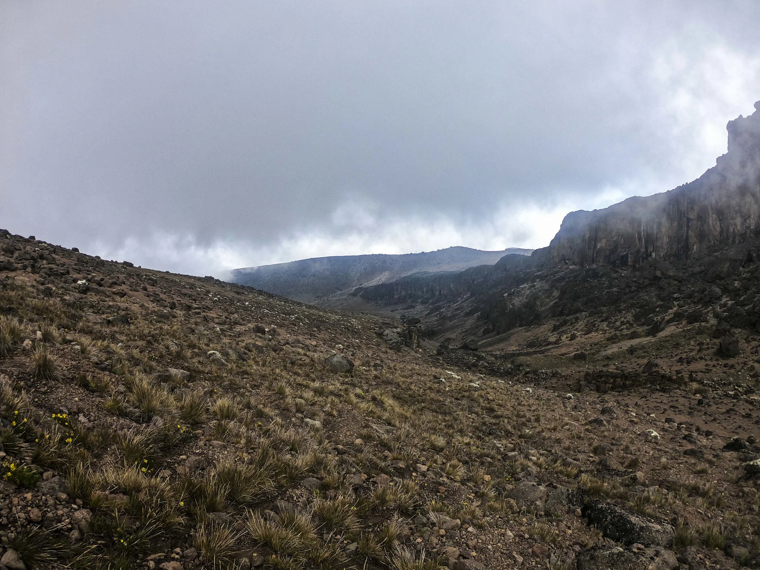 Kili2-190626-15.jpg
