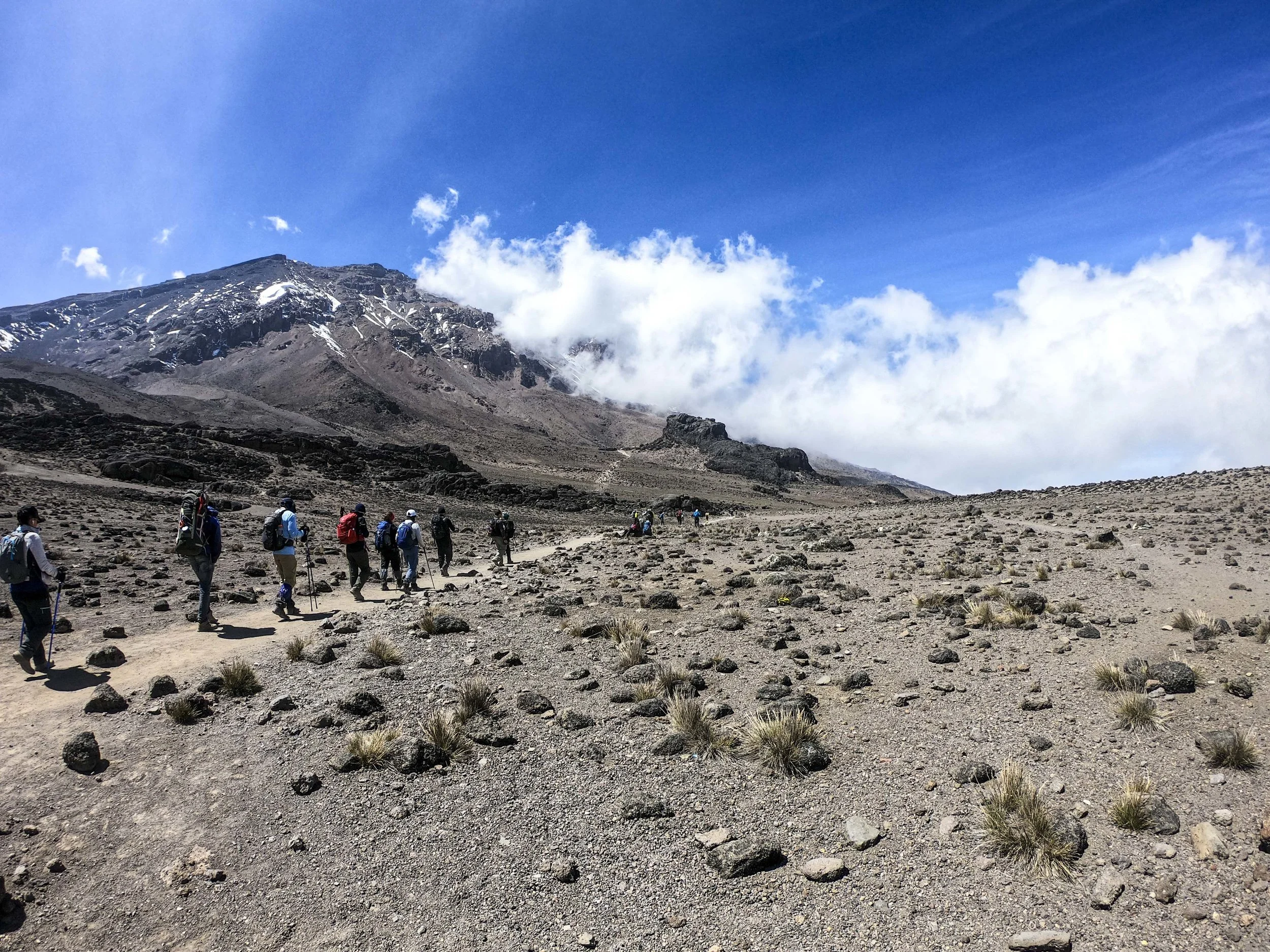 Kili2-190626-14.jpg