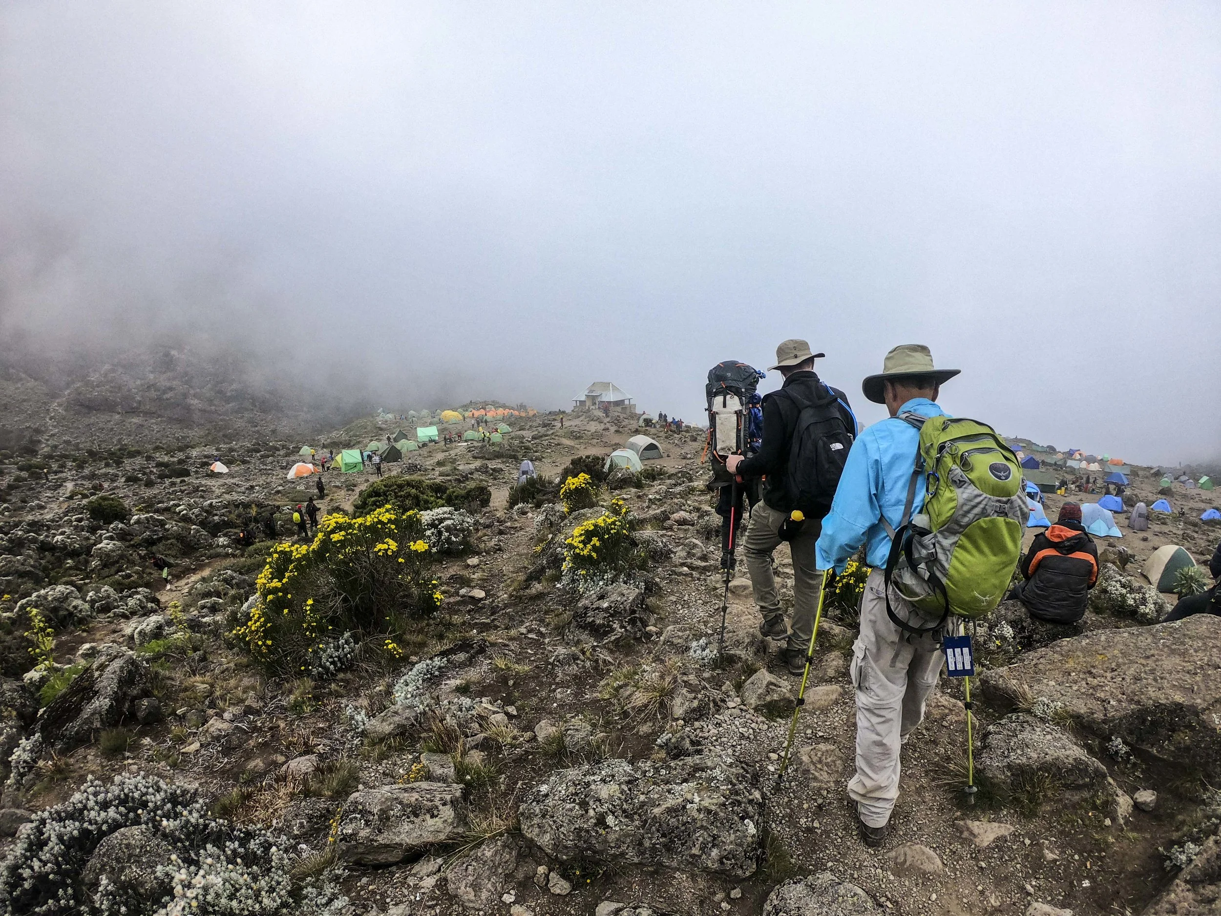 Kili2-190626-18.jpg