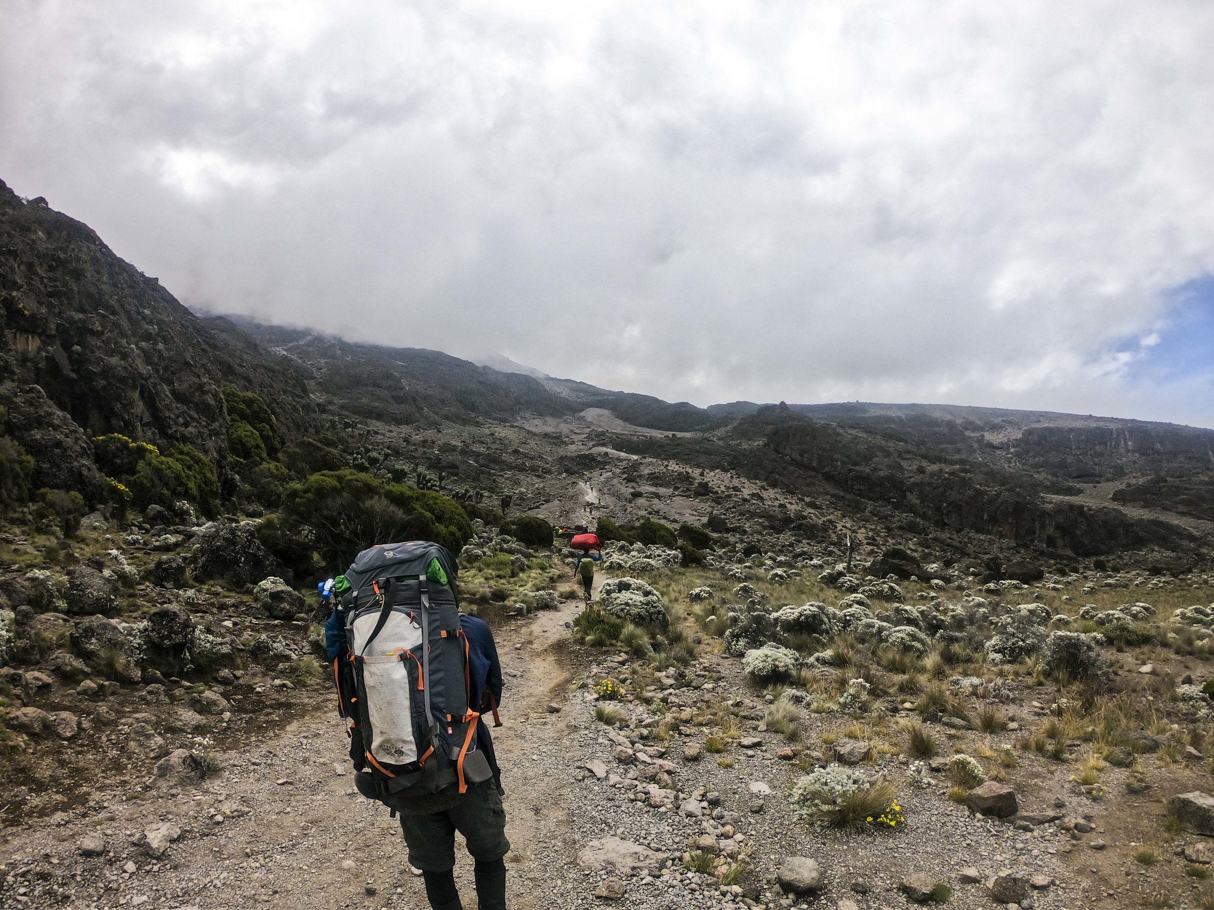 Kili2-190626-21.jpg