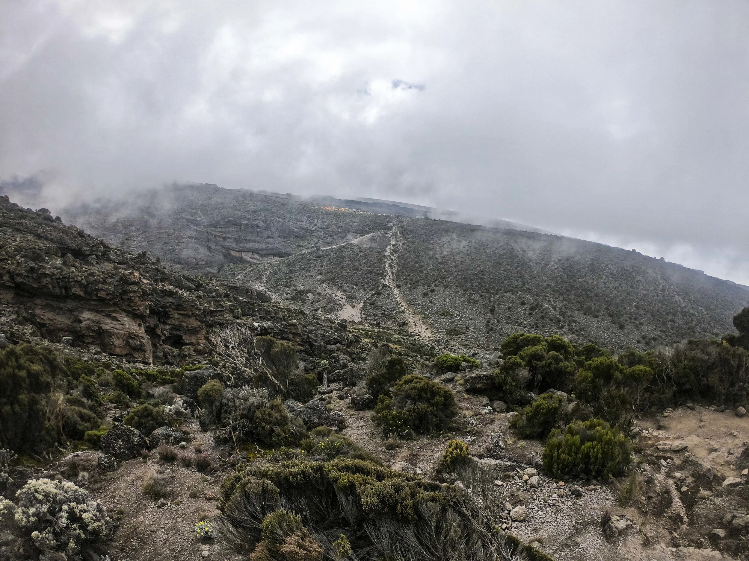 Kili2-190626-23.jpg