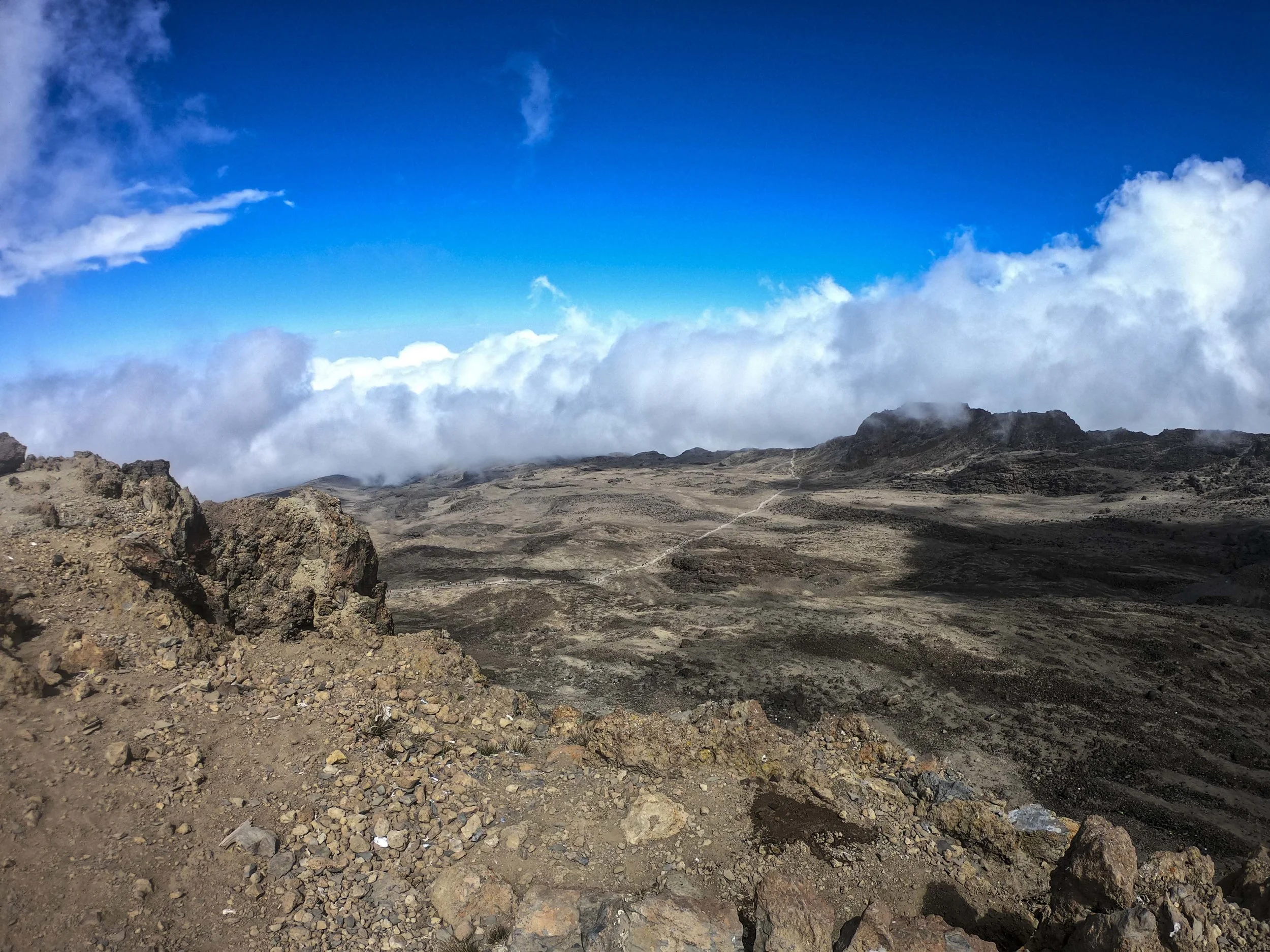 Kili2-190626-26.jpg