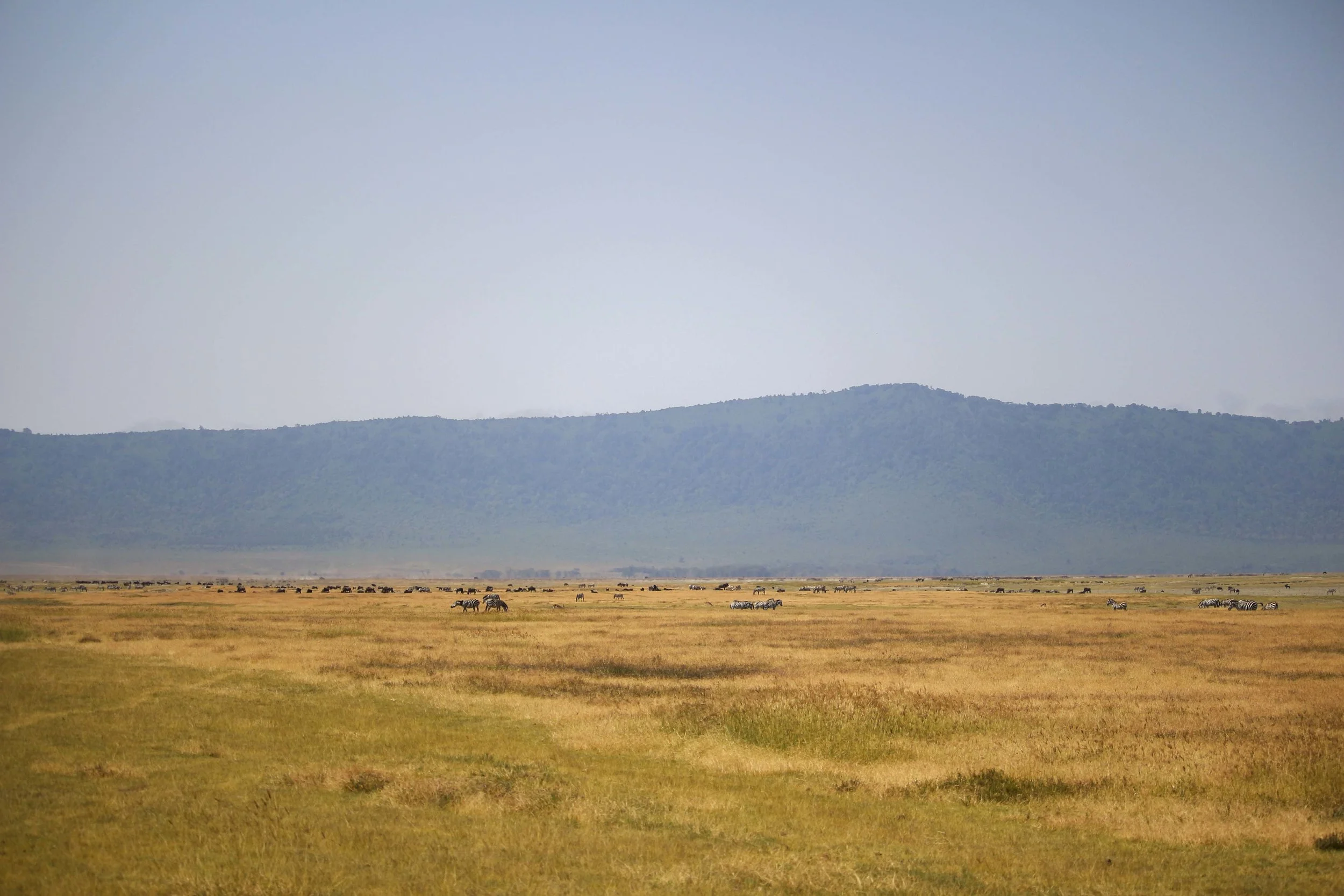 Kili2-190626-57.jpg
