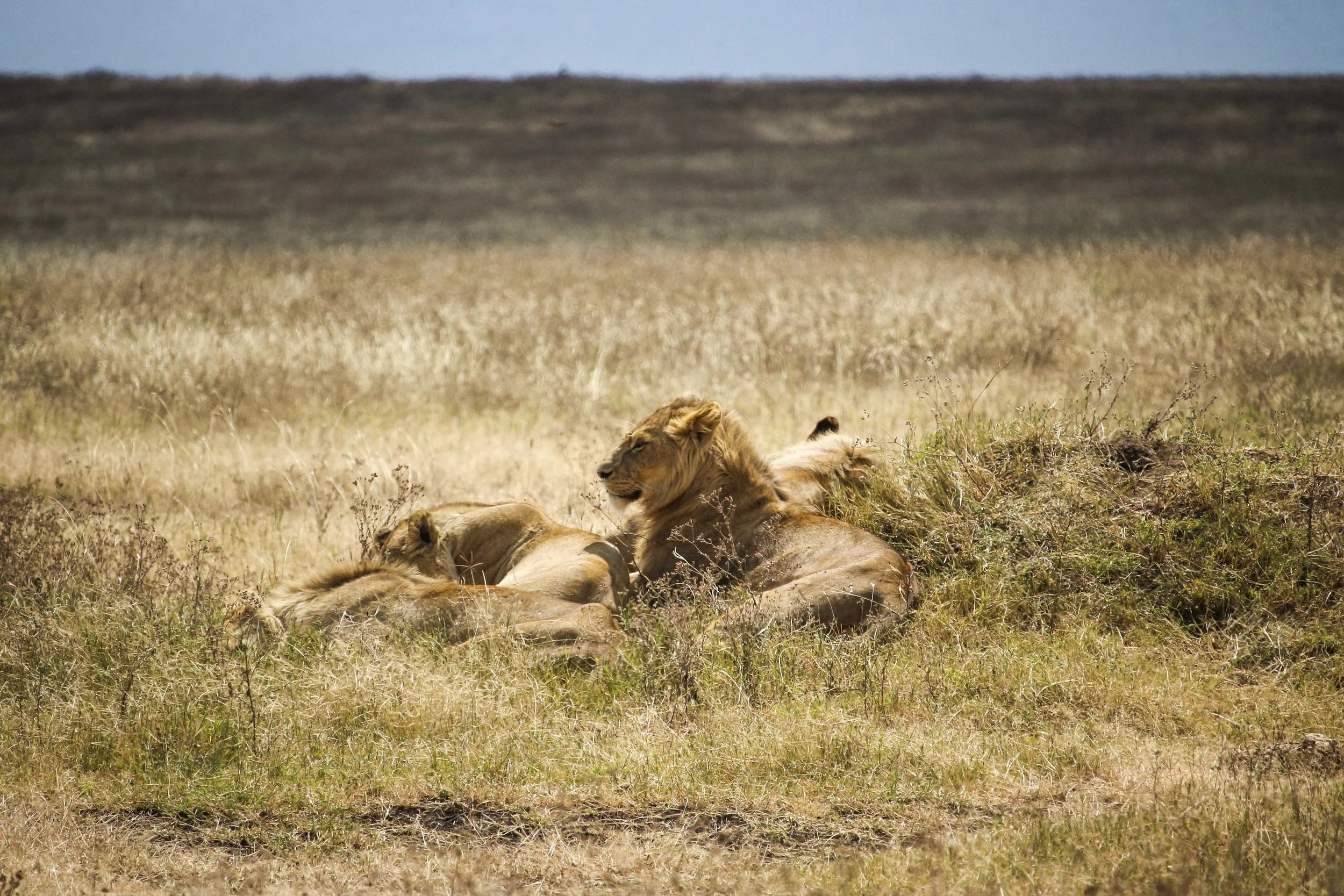 Kili2-190626-60.jpg