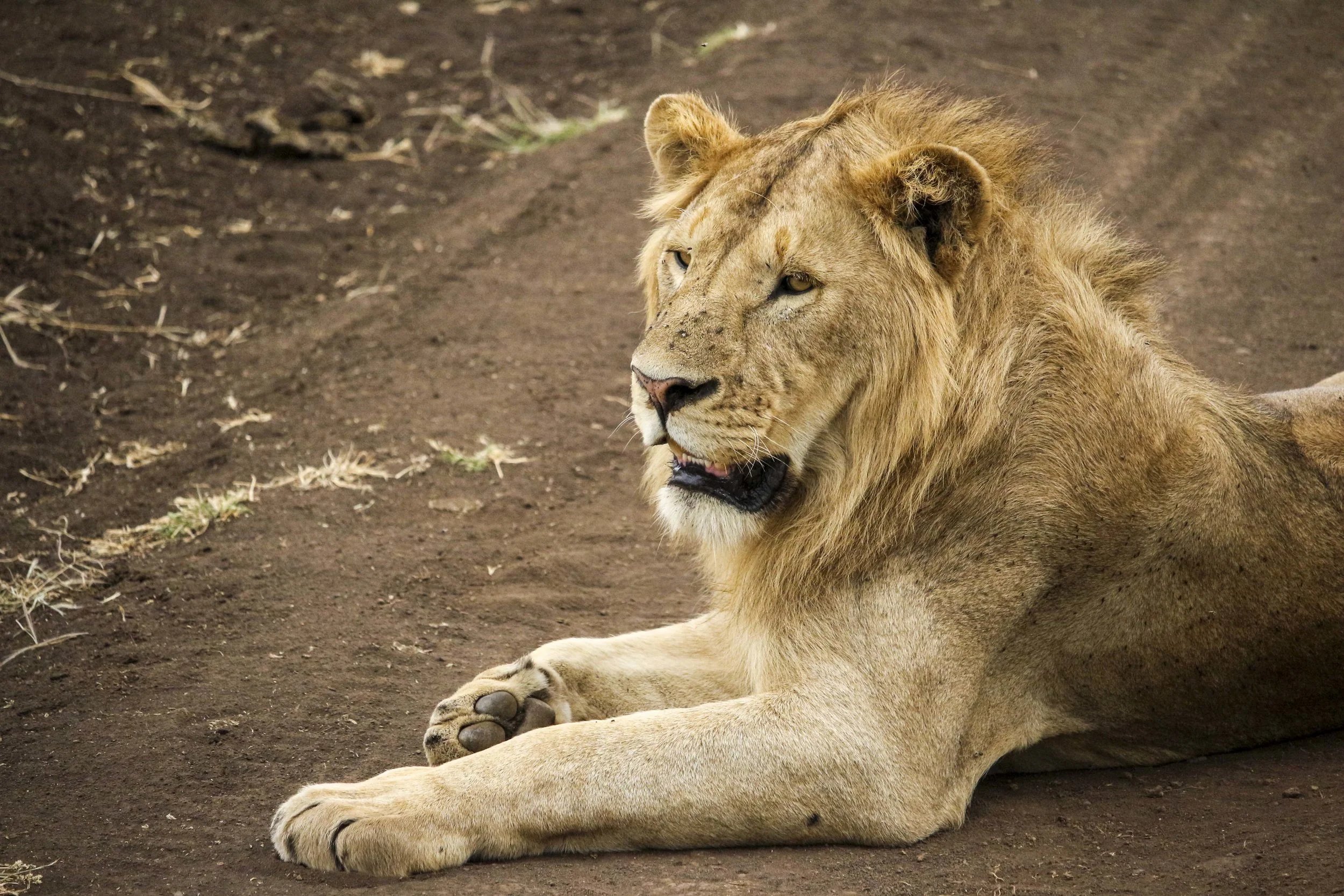 Kili2-190626-63.jpg