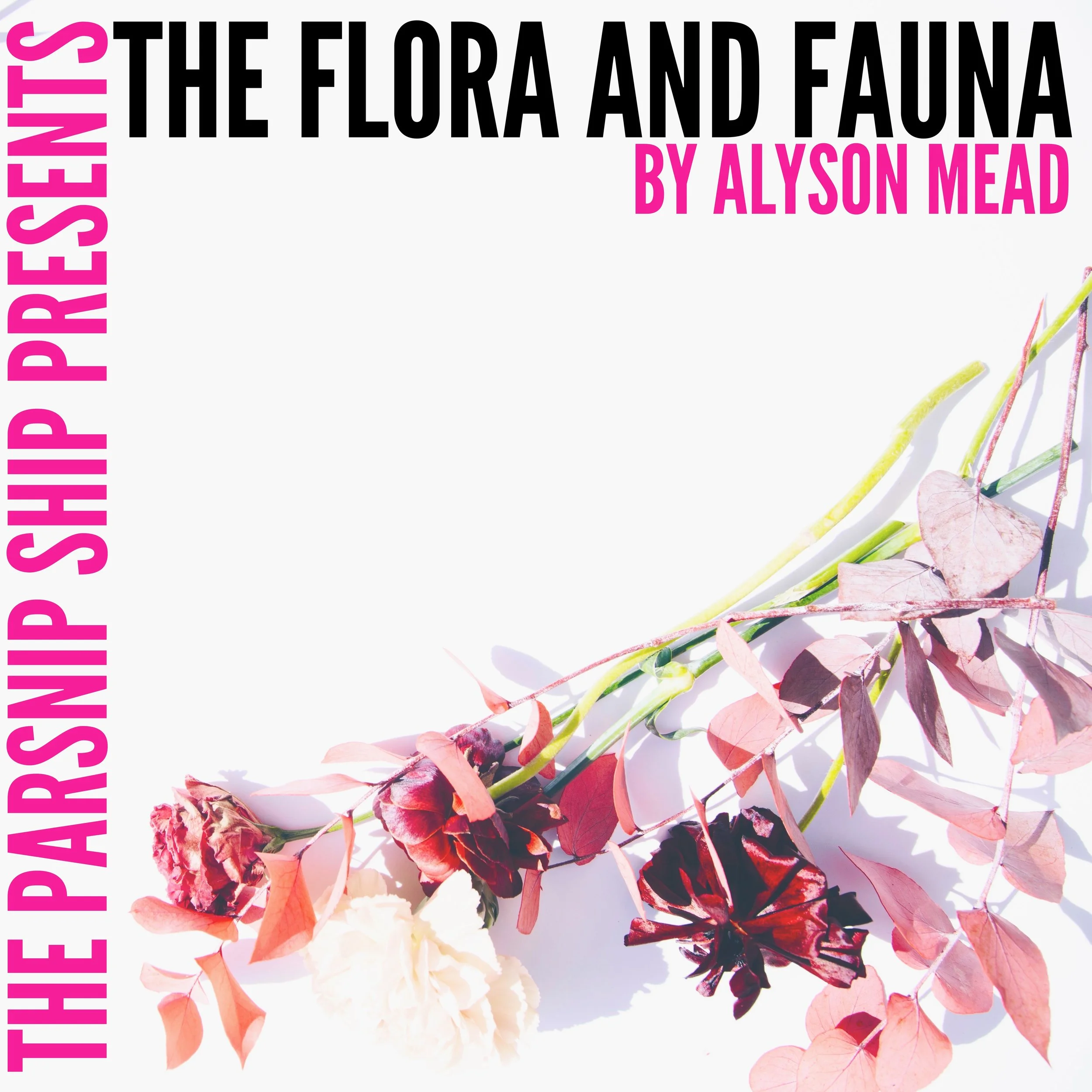 S5E1: The Flora and Fauna