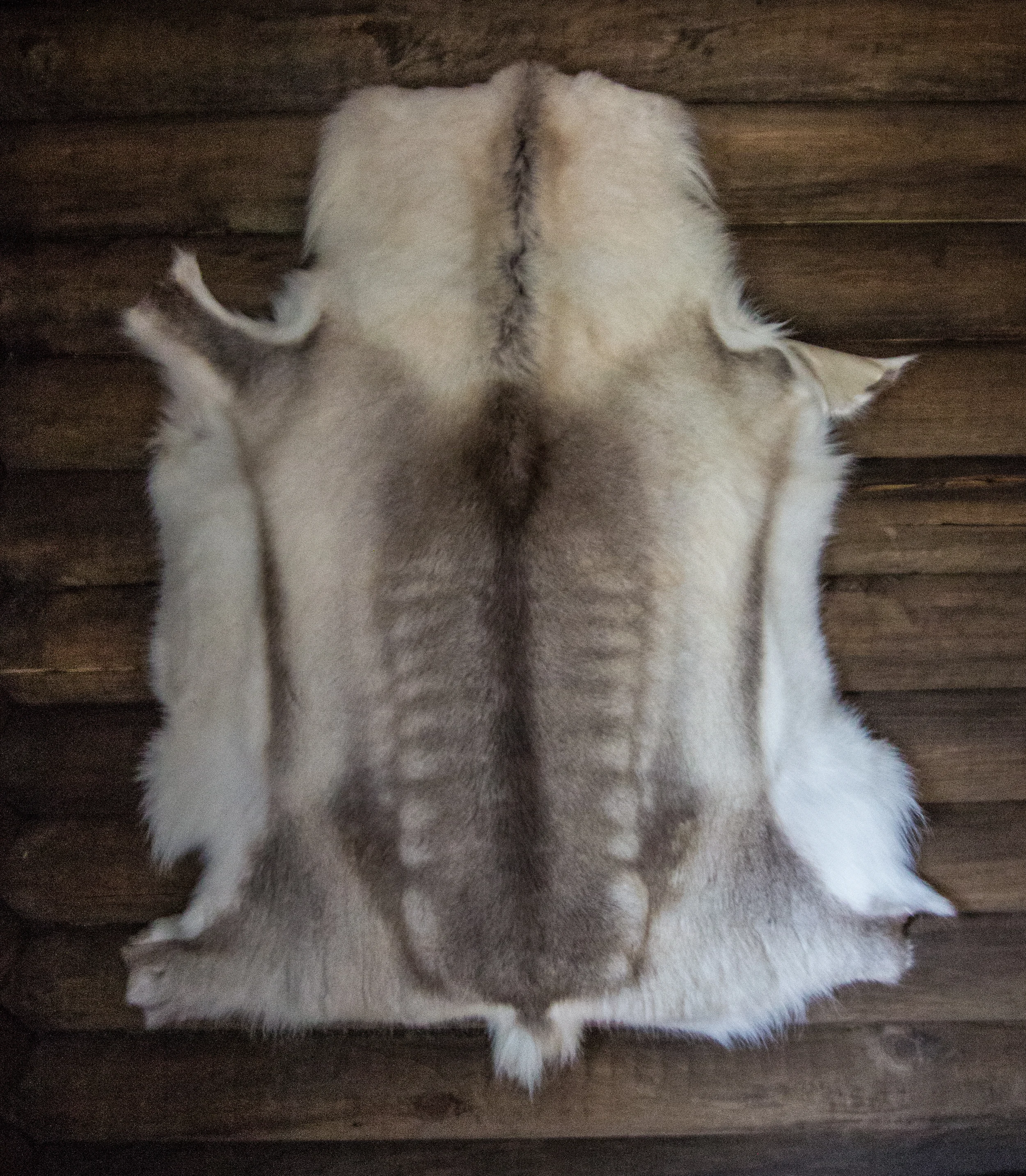 Reindeer skin
