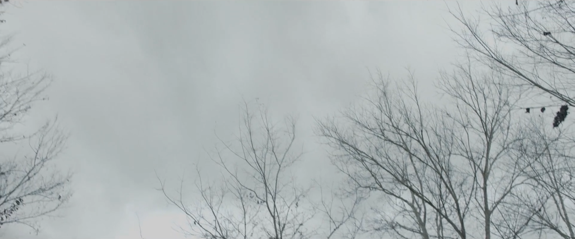 Screen Shot 2017-03-05 at 9.32.23 AM.png