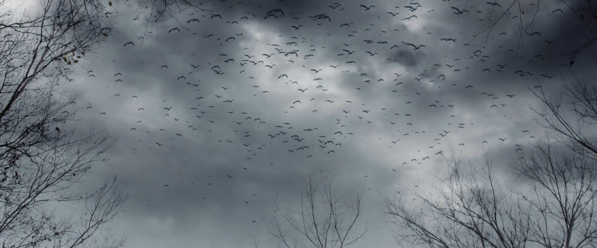 Screen Shot 2017-03-05 at 9.32.53 AM.png