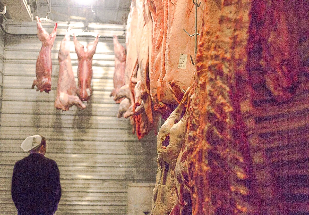 A devote Amish believer, Amanda Miller, is one of the main operators at Westcliff Meats in Colorado, a processing facility which only slaughters 10 animals at a time.
