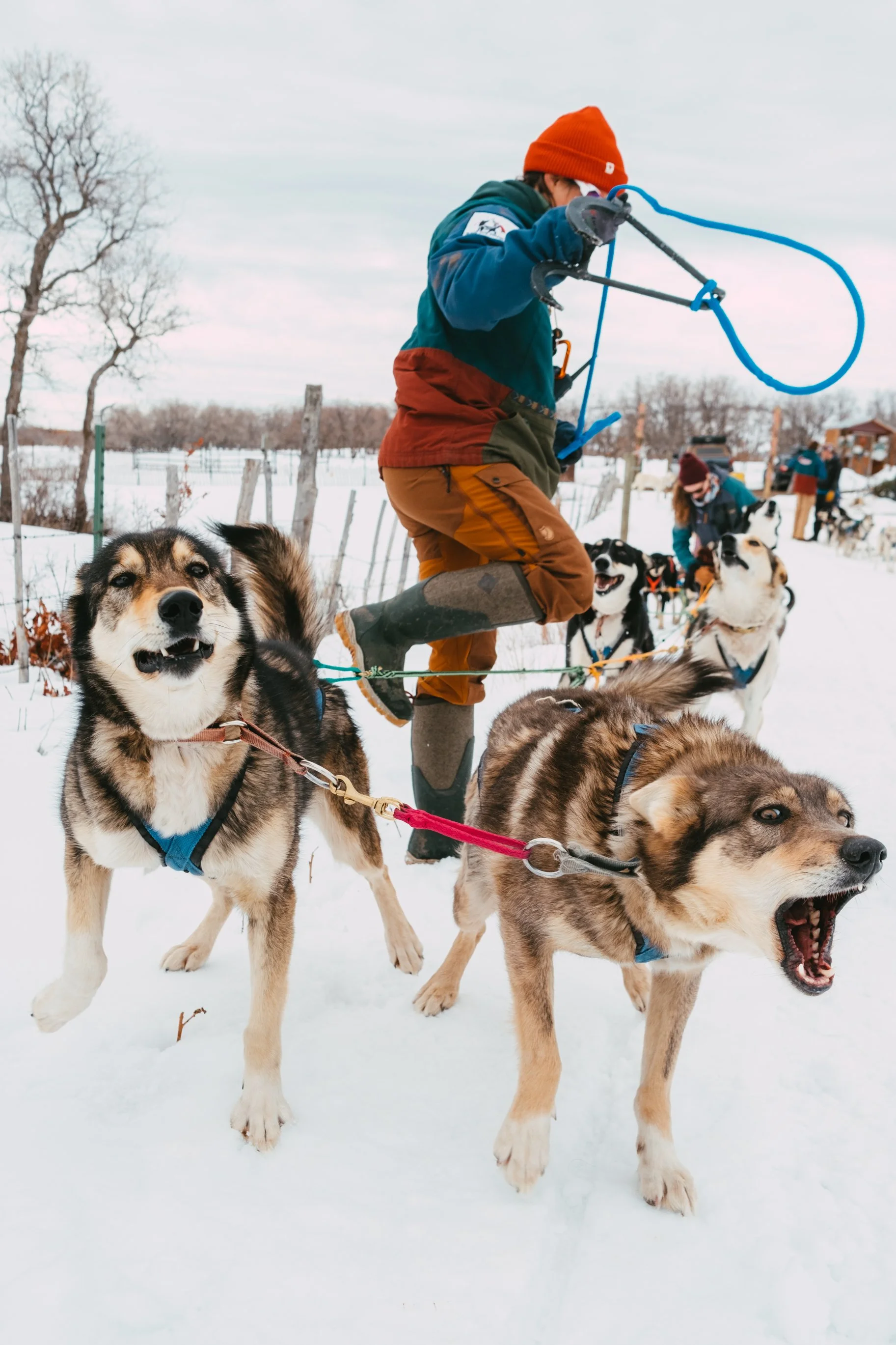 DogSledding_Fjallraven_03_30_202434.JPG