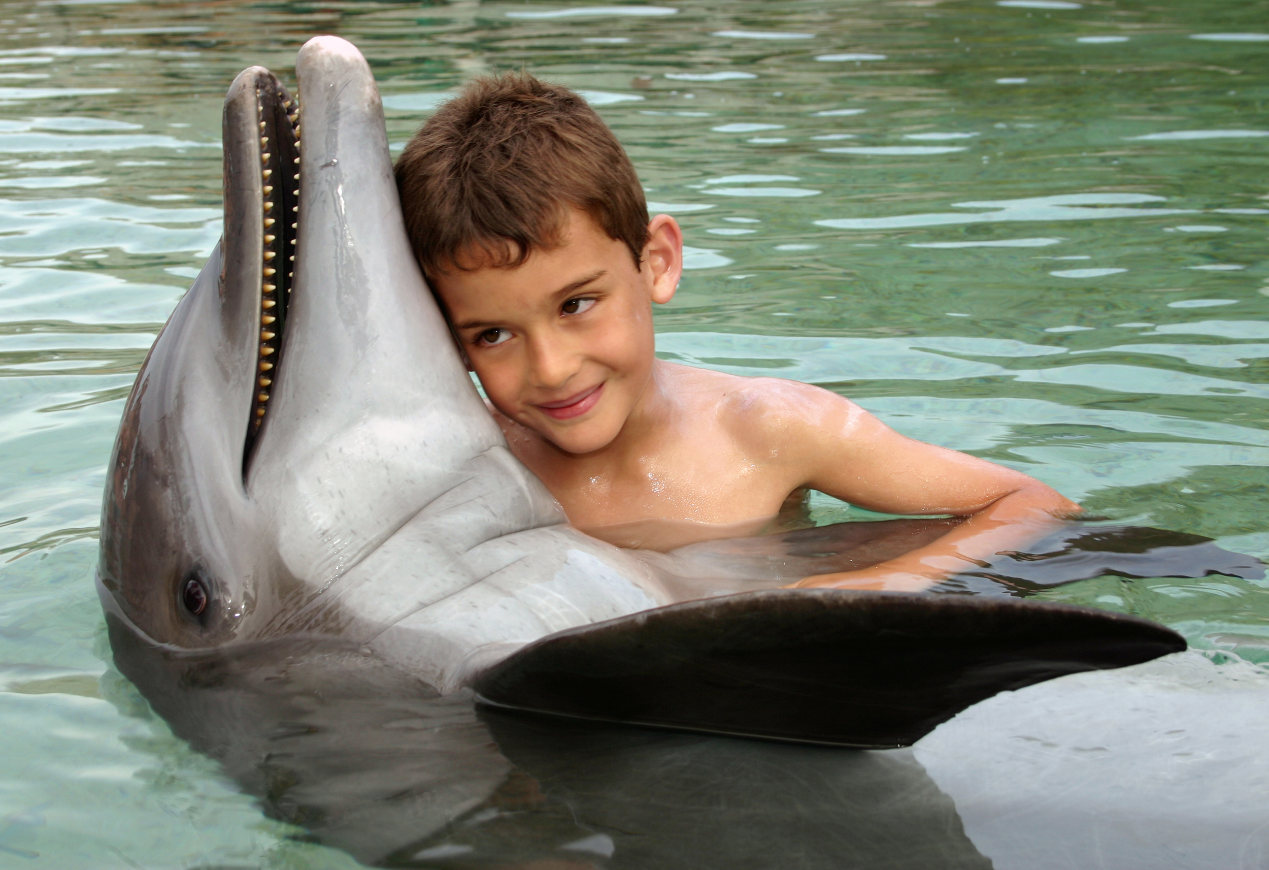 IC Moorea Dolphin Center with child 15095354917_e420e6c631_o.jpg