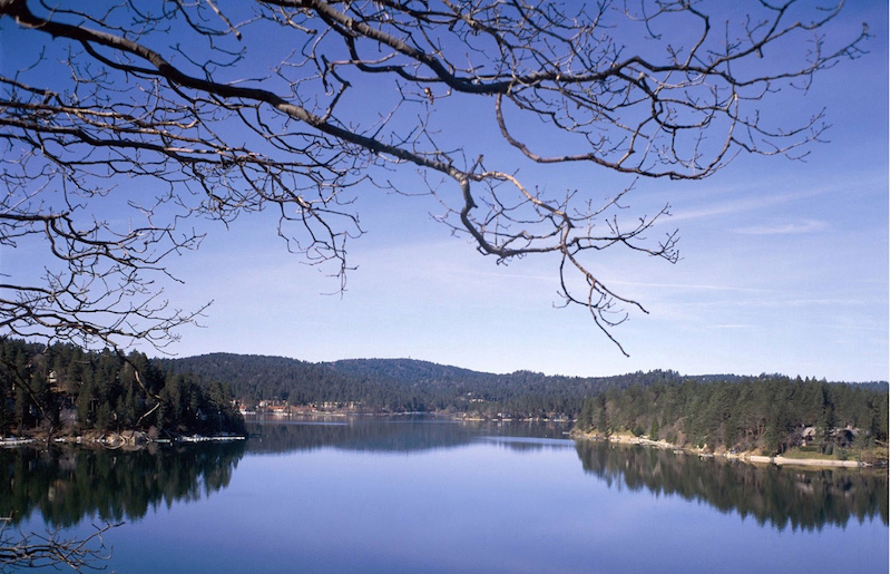 Lake Arrowhead - Lake Branches - High-res.jpg