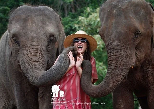 Happy Valentine&rsquo;s! ❤️🐘💋🌏 May our ❤️ for travel and adventure continue to bring us unforgettable moments and....sloppy kisses?! 😘😳😂 #amazingthailand #luxuryadventure #thailand #luxurytravel #pataraelephantfarm #chiangmai  #cadencememories