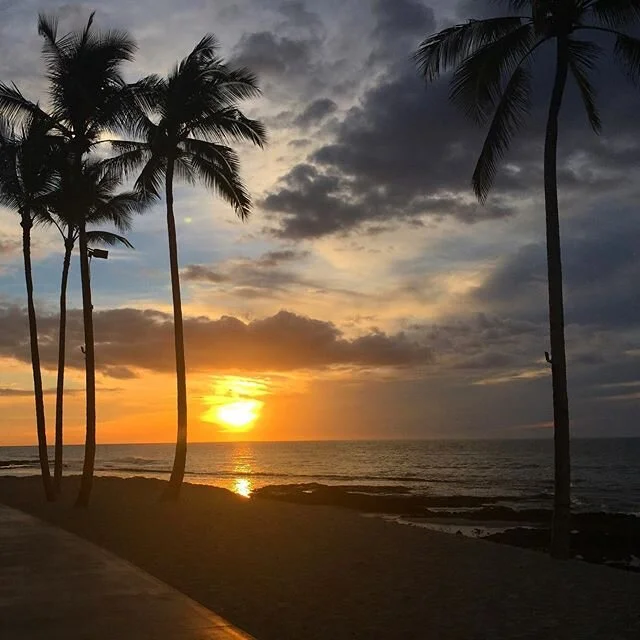 Aloha! 🌴💦☀️ Hawaii is back!  Beginning Aug. 1 out-of-state travelers to Hawaii can avoid the state&rsquo;s 14-day quarantine requirement if they can provide proof of a negative test for the coronavirus within 72 hrs of travel. Mssg me with any ques