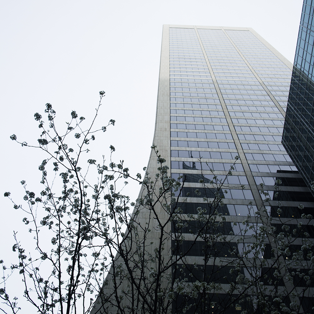 photo_layout_14c.png