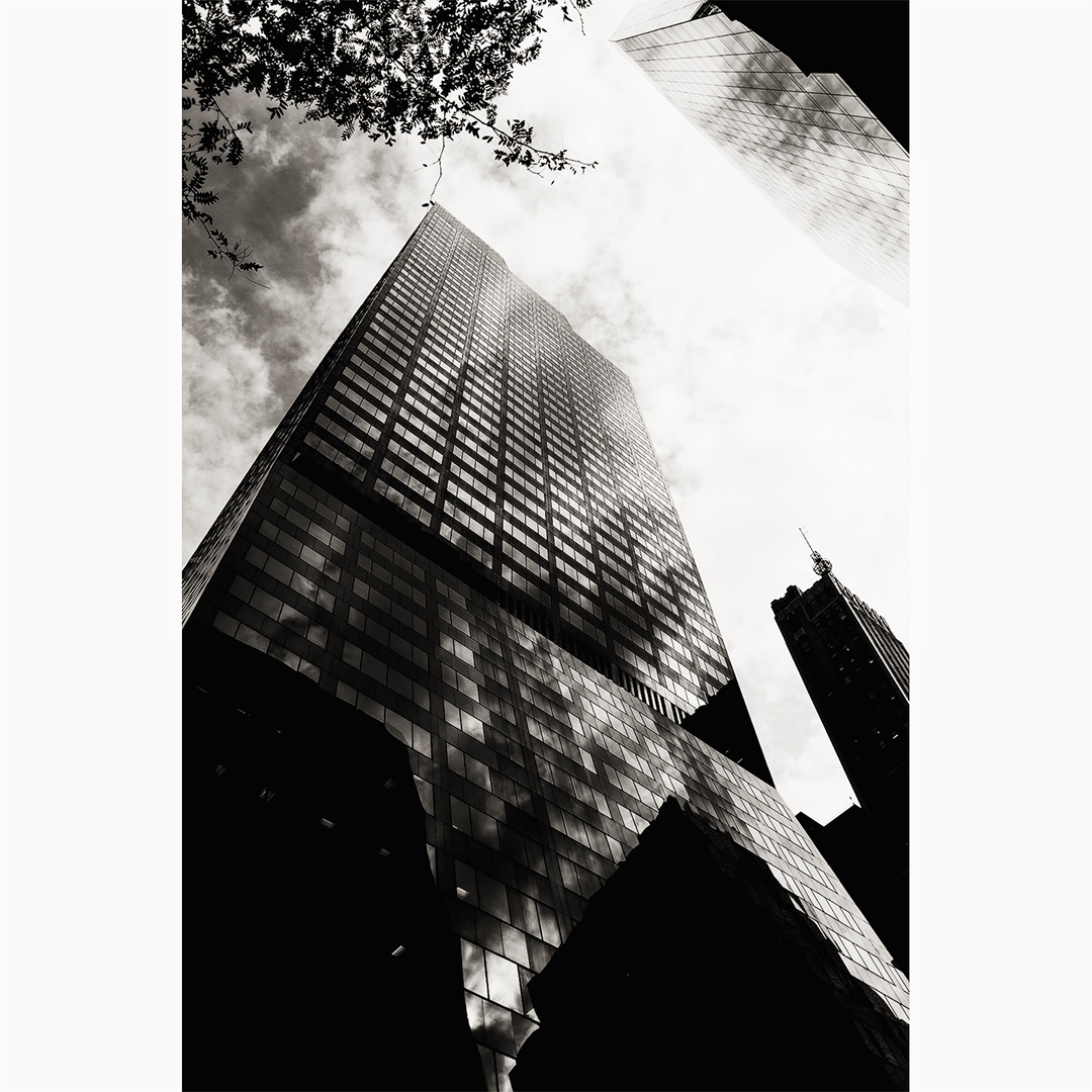 photo_layout_15.png