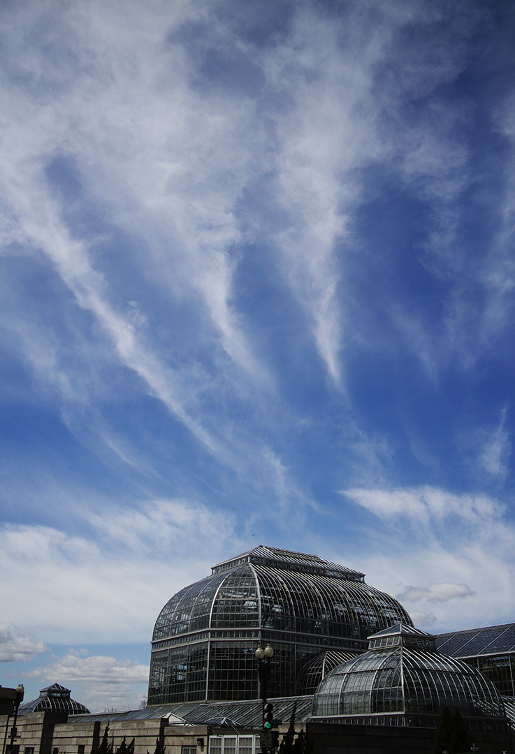 photo_kapitol_09.png