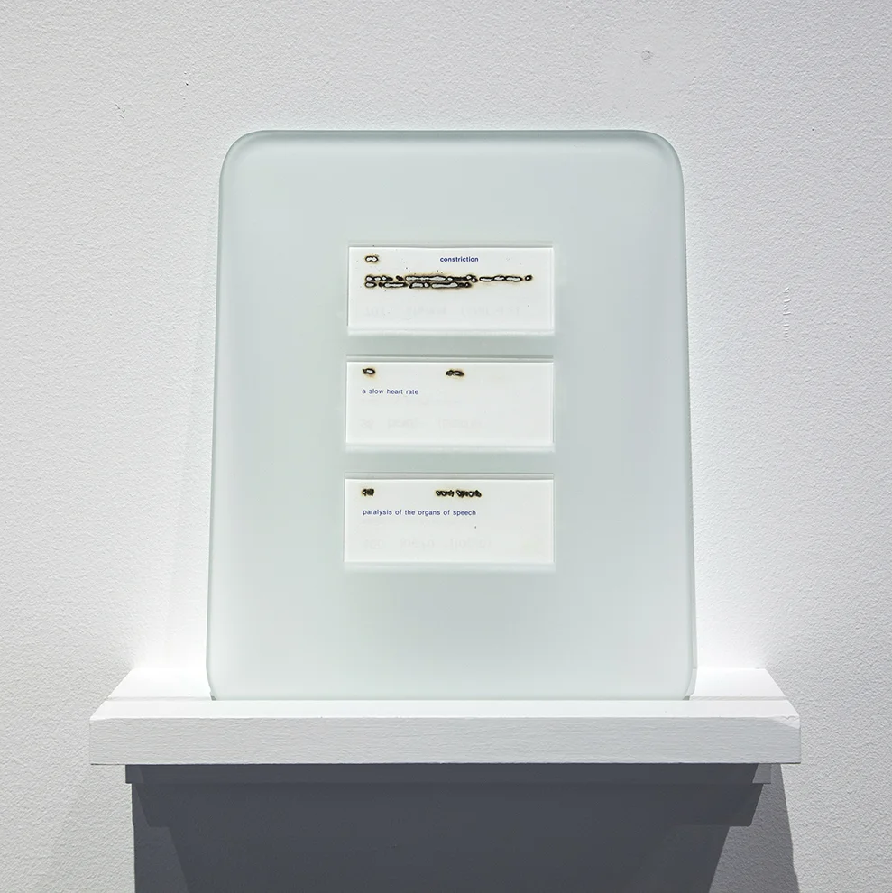 DiRosa_4-detail.jpg