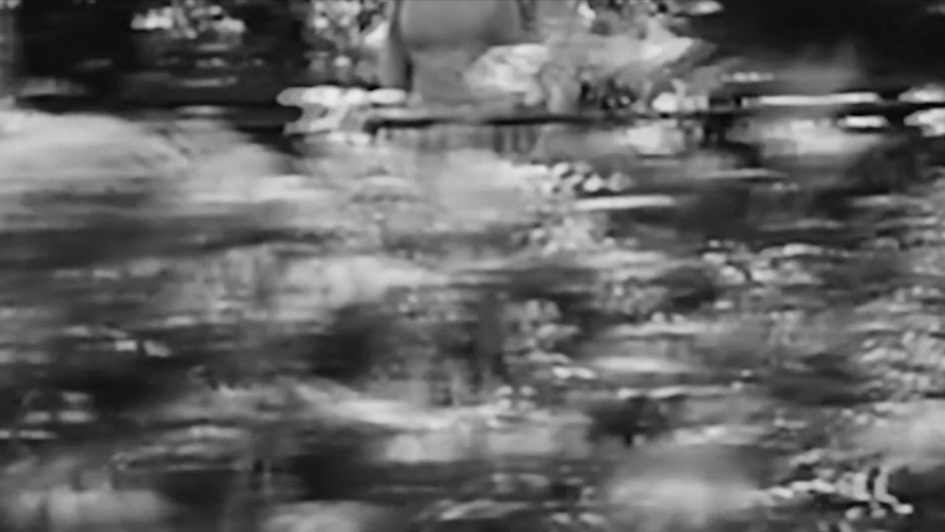 Dance, 2015