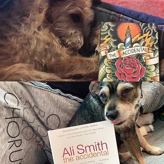 Puppers reading! Christopher got a dog! Everybody is reading Ali Smith&rsquo;s &ldquo;The Accidental&rdquo; for ~some~ reason!
.
.
.
.
#somanydamnbooks #bookstagram #dogsandbooks #amreading #dogsreading #dogsreadingalismith #alismith #theaccidental #