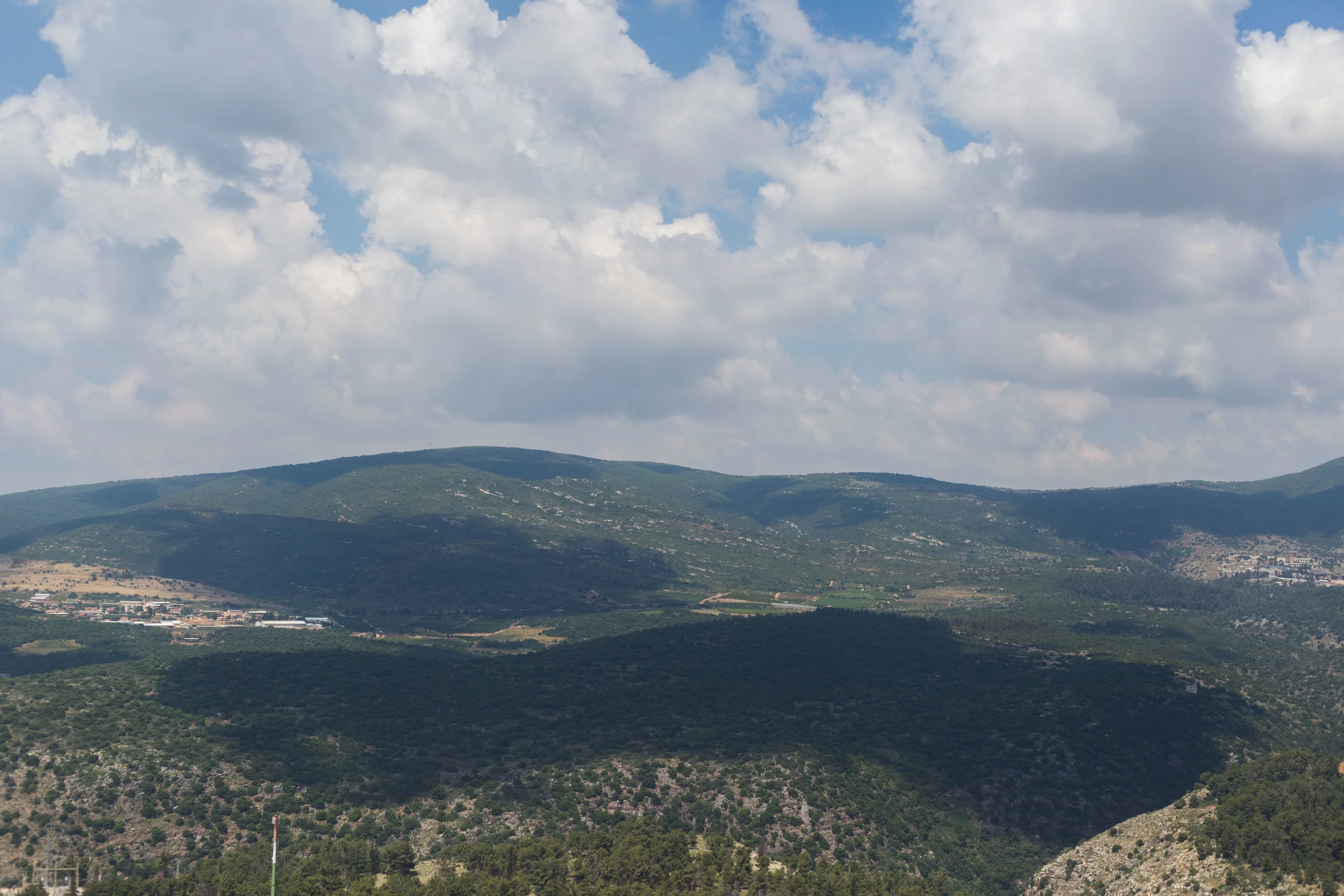 _D6A2929.jpg