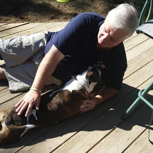 Reiki helped calm this pitbull.