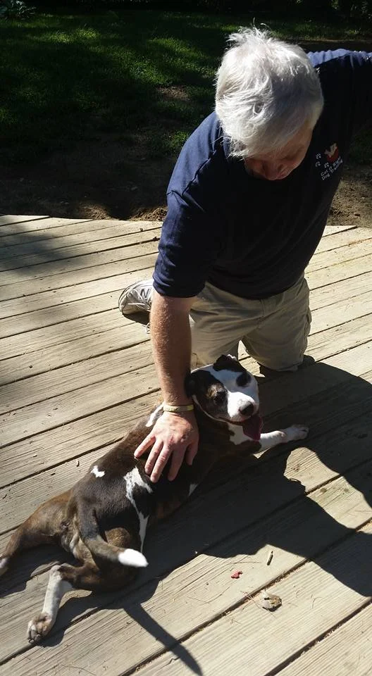 She is one of five pitbulls that benefitted from reiki sessions with me. this girl loved the calming heat effects of reiki. 