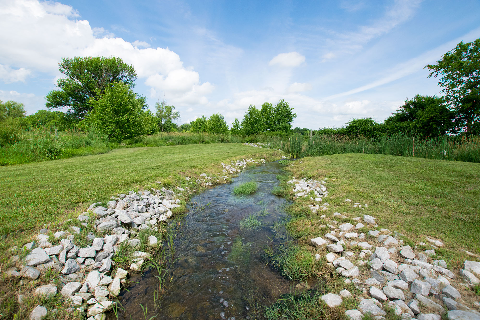 The discharge stream leaving the Simmons Foods Southwest City Facility.
