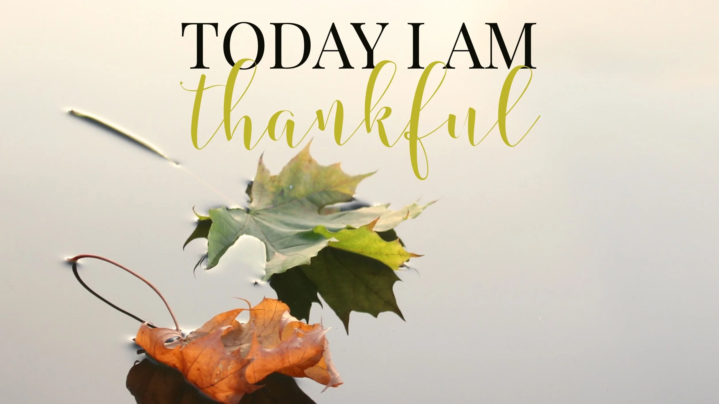 TODAY I AM THANKFUL