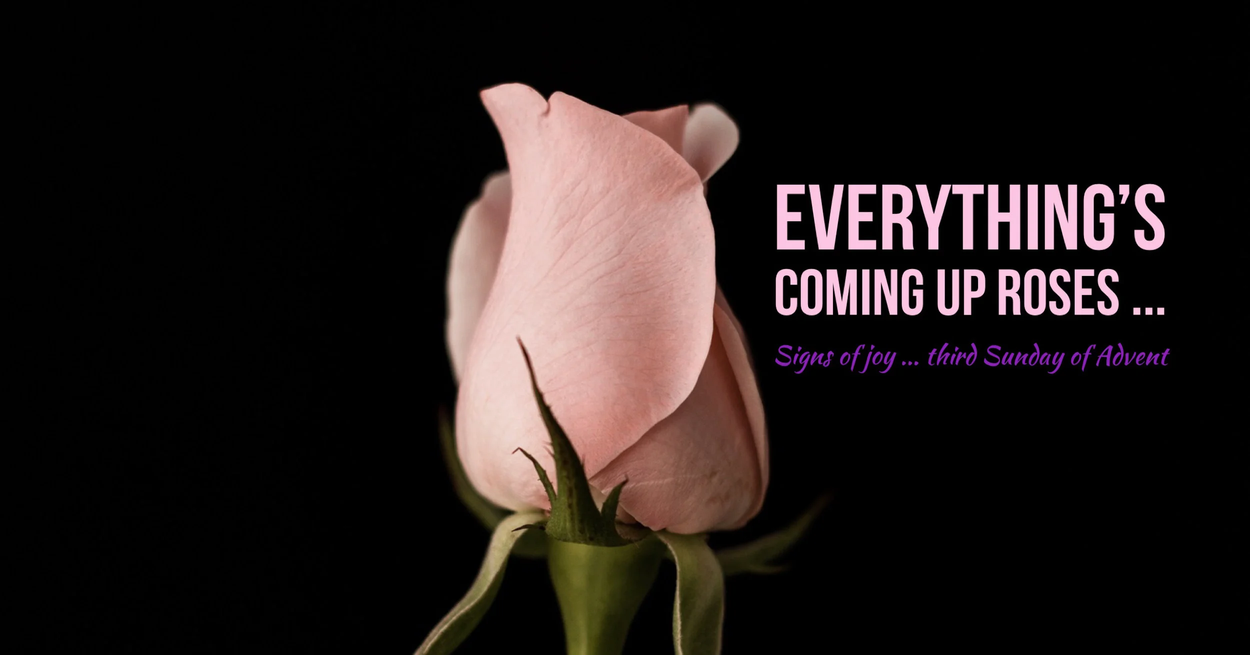 EVERYTHING'S COMING UP ROSES